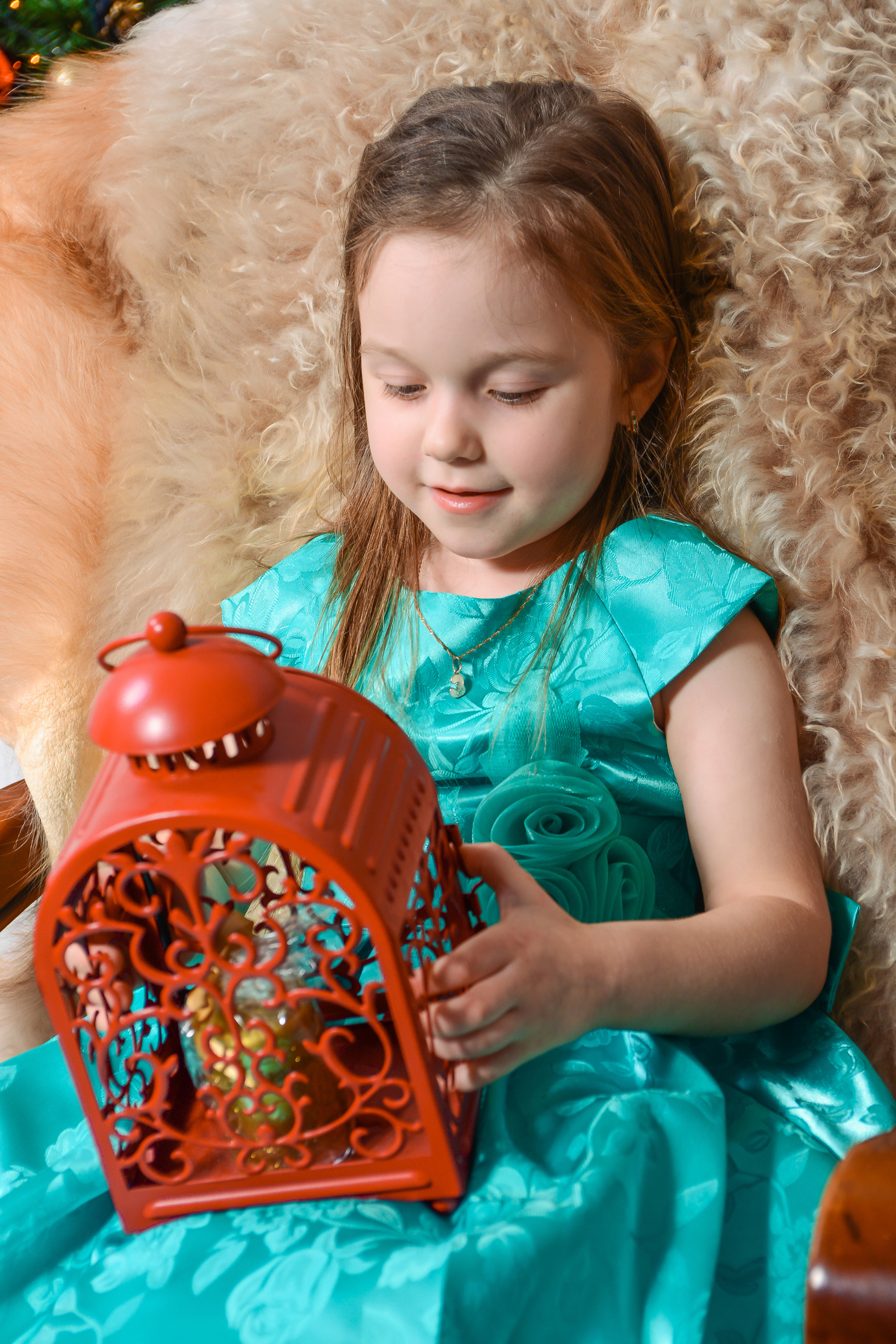 Новый год. Фотограф Сергей Салманов Studiophotosharm