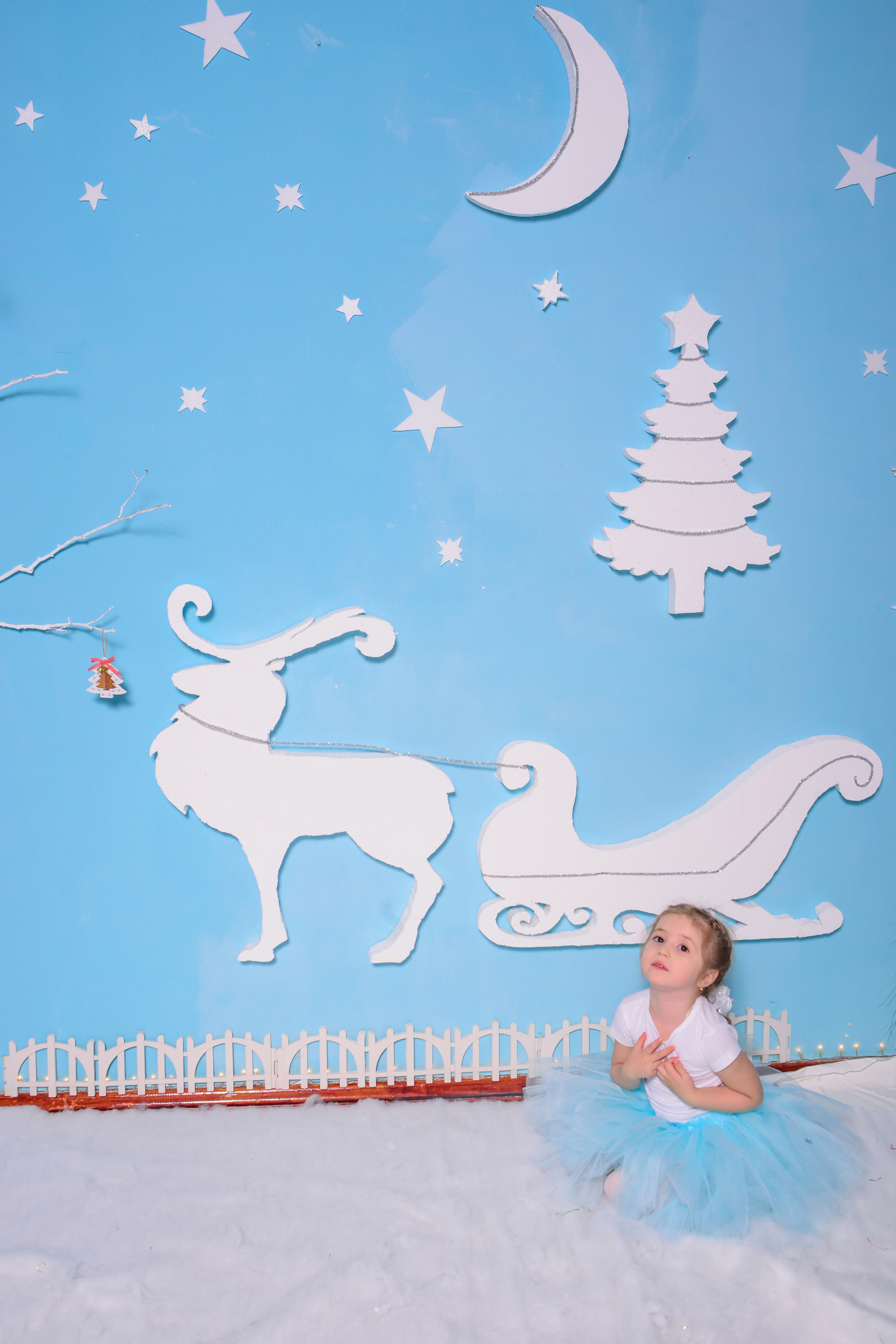 Новый год. Фотограф Сергей Салманов Studiophotosharm