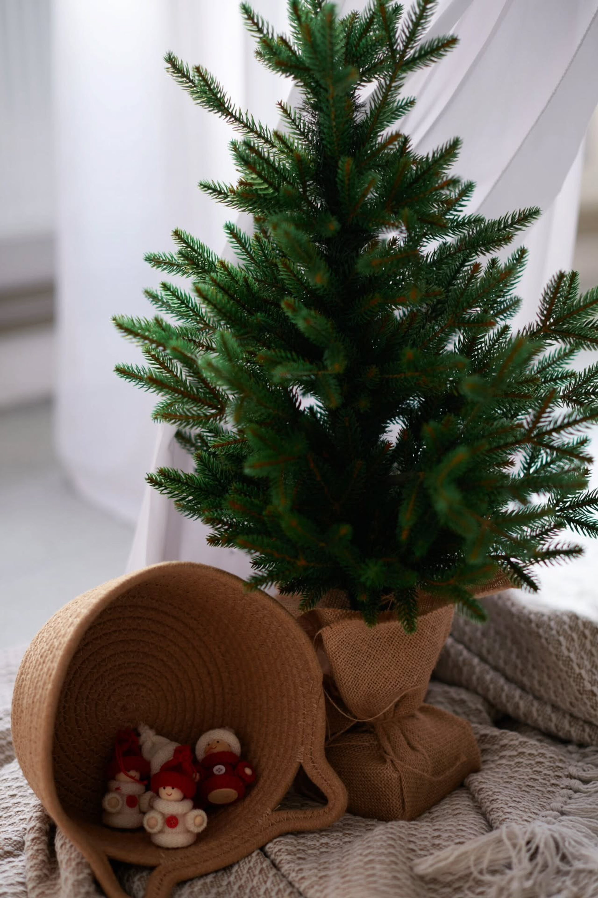 SOFT — Новогодние залы 2026. Фотограф Сергей Салманов Studiophotosharm