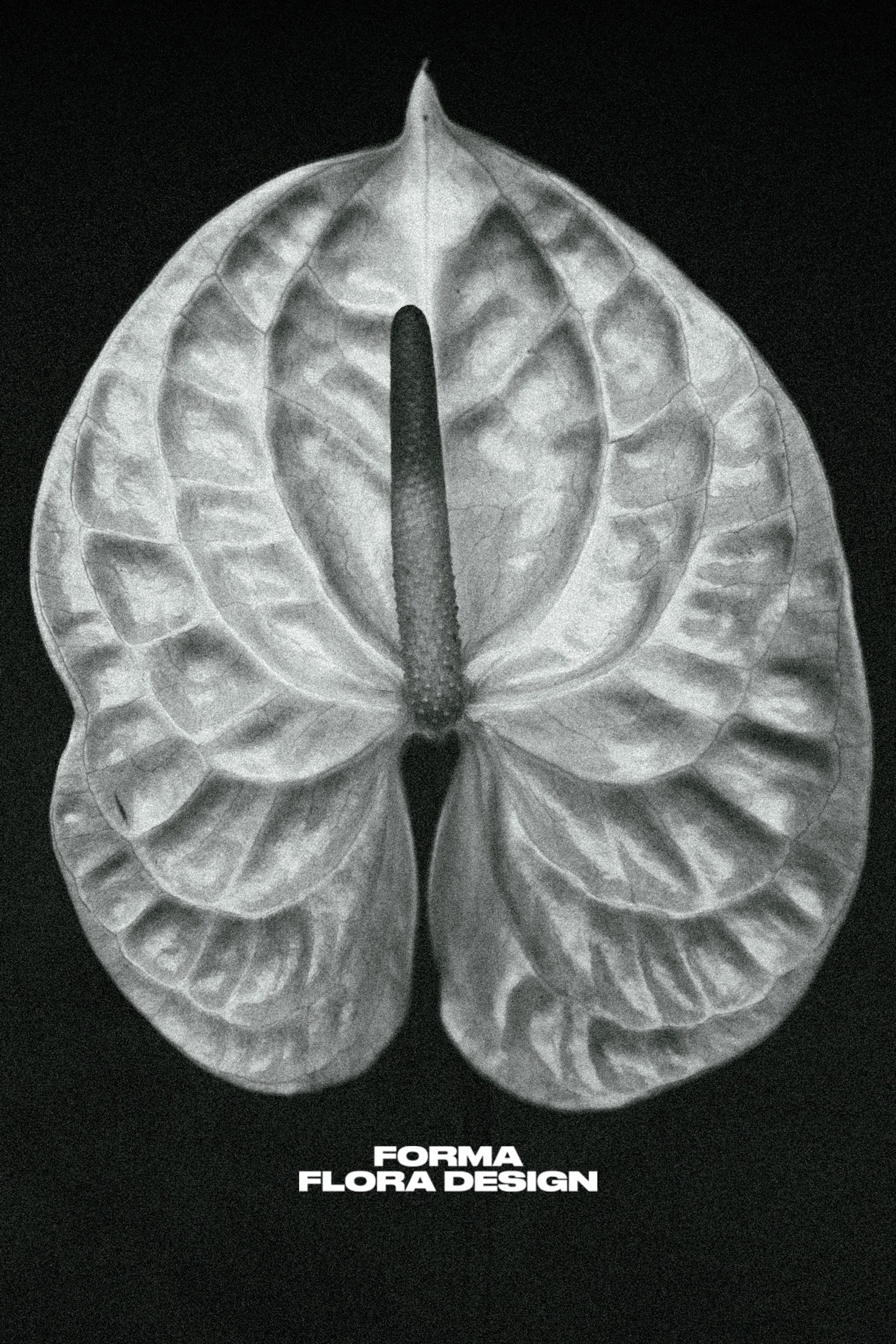 Forma Flora Design