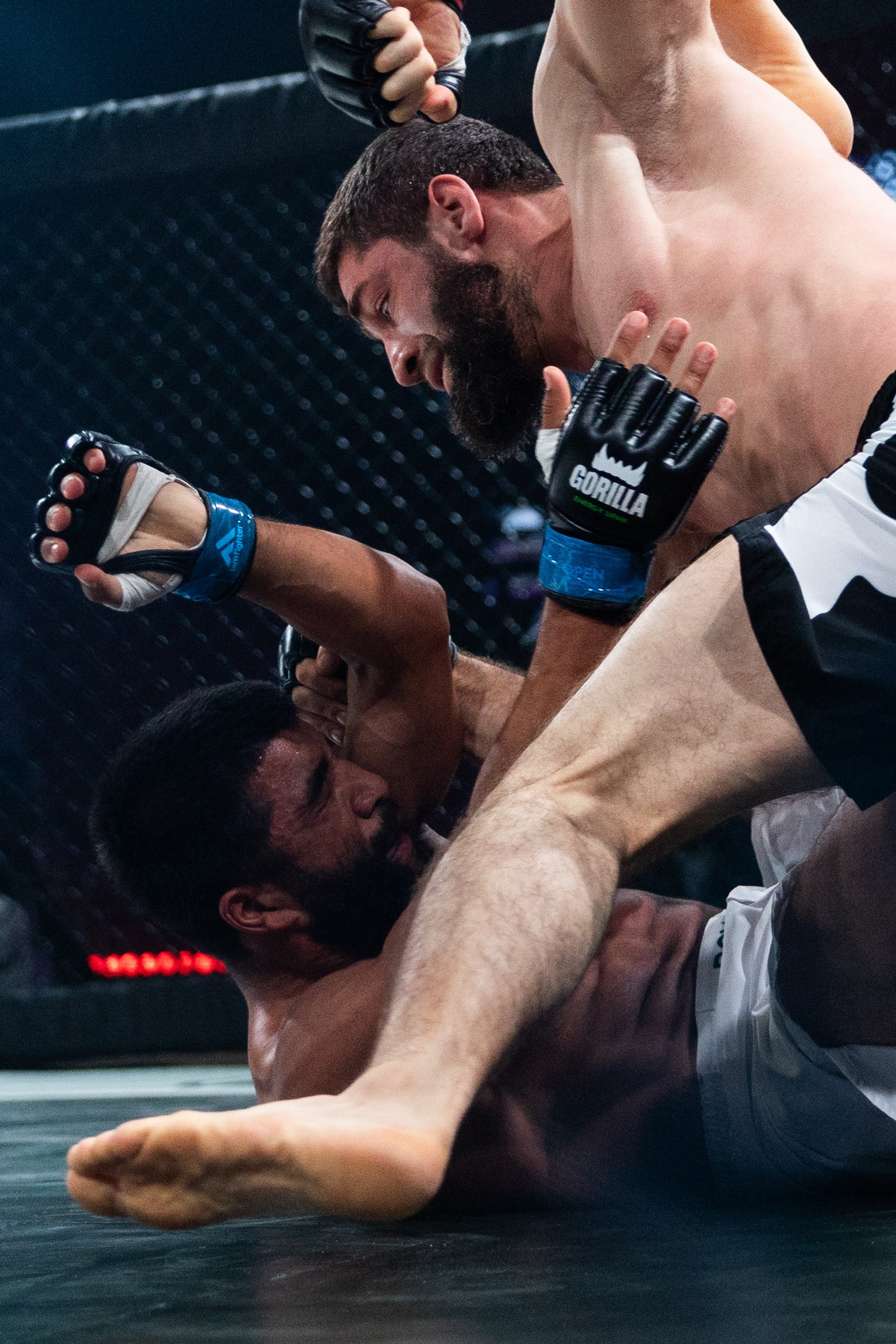 MMA/Royal Battle Show