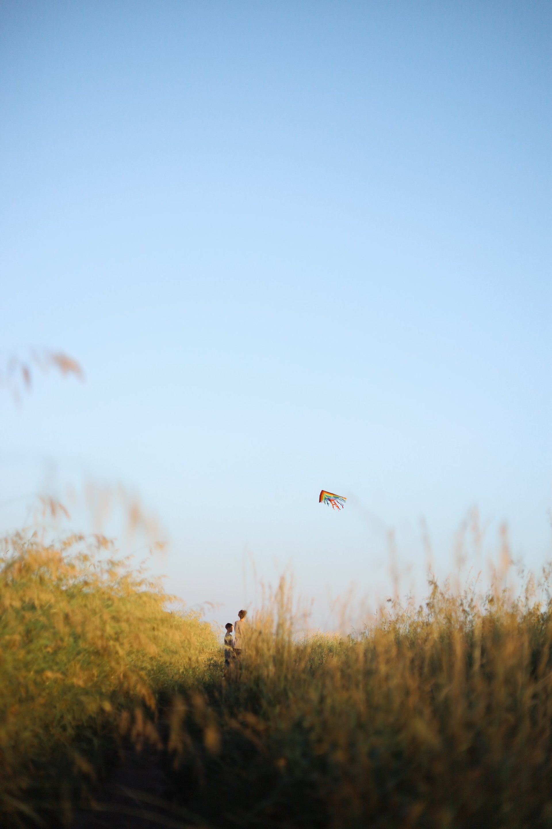 Отзывы. Ваш эмпатичный фотограф- Екатерина Н
