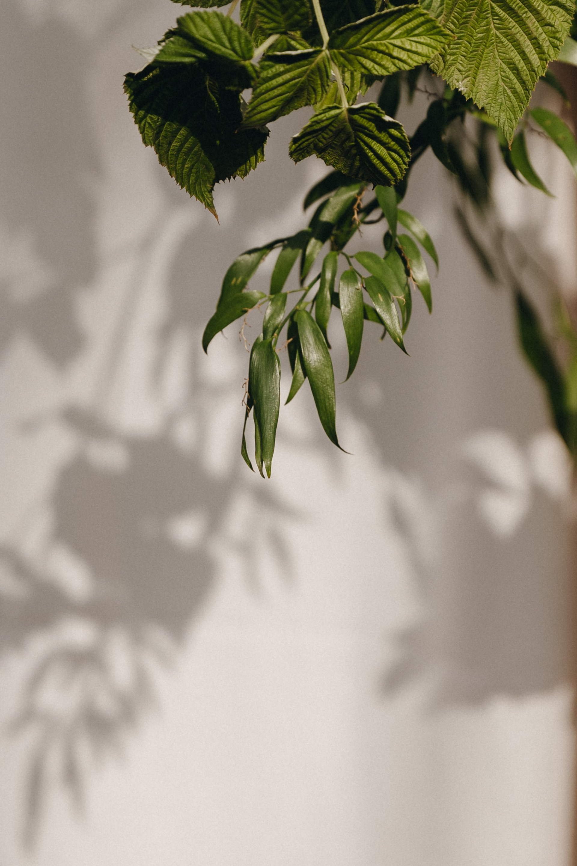 ВМЕСТЕ. Свадебный фотограф в Ростове-на-Дону Нина Крейцберг