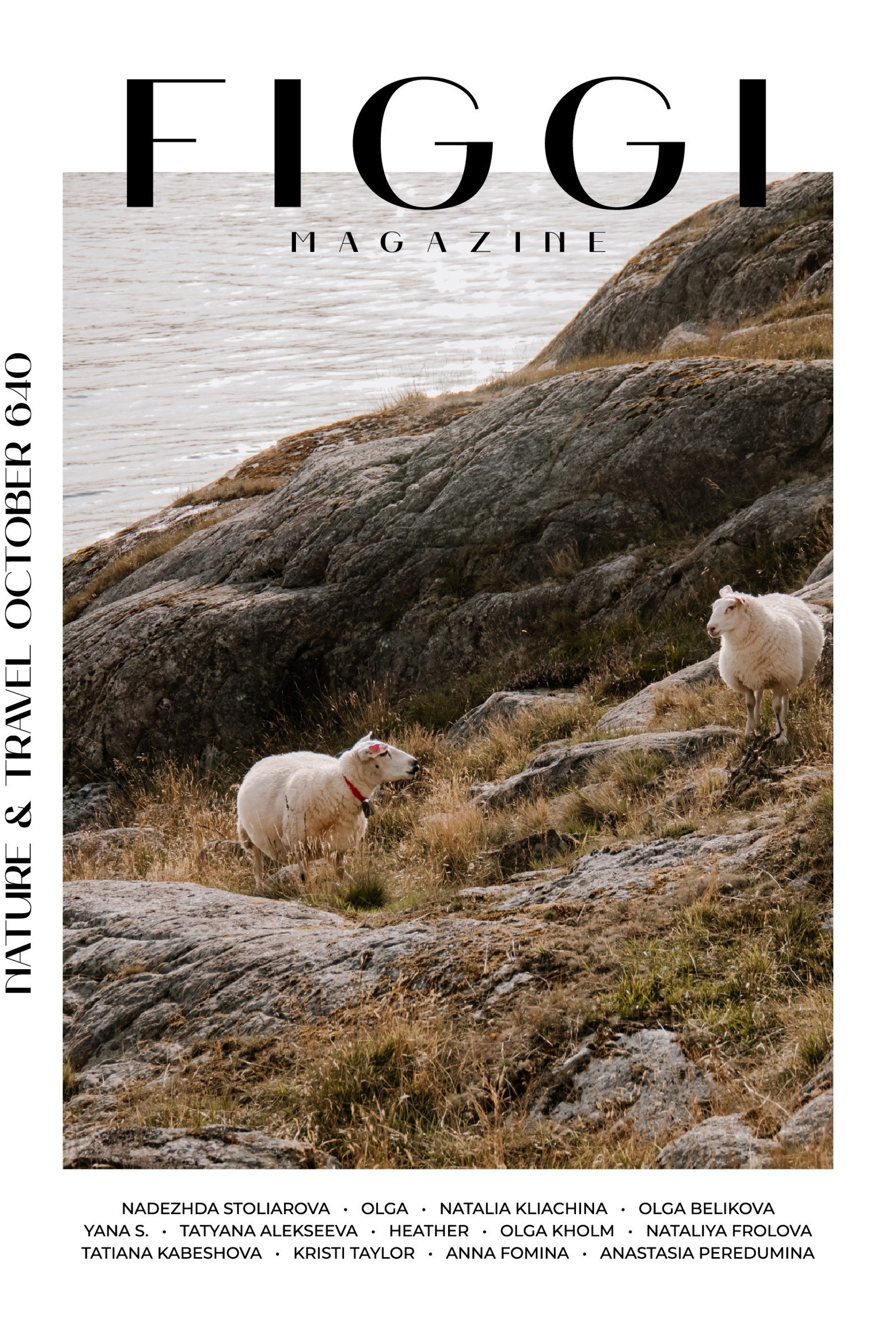 Журнал Figgi. Norwegian pokemons