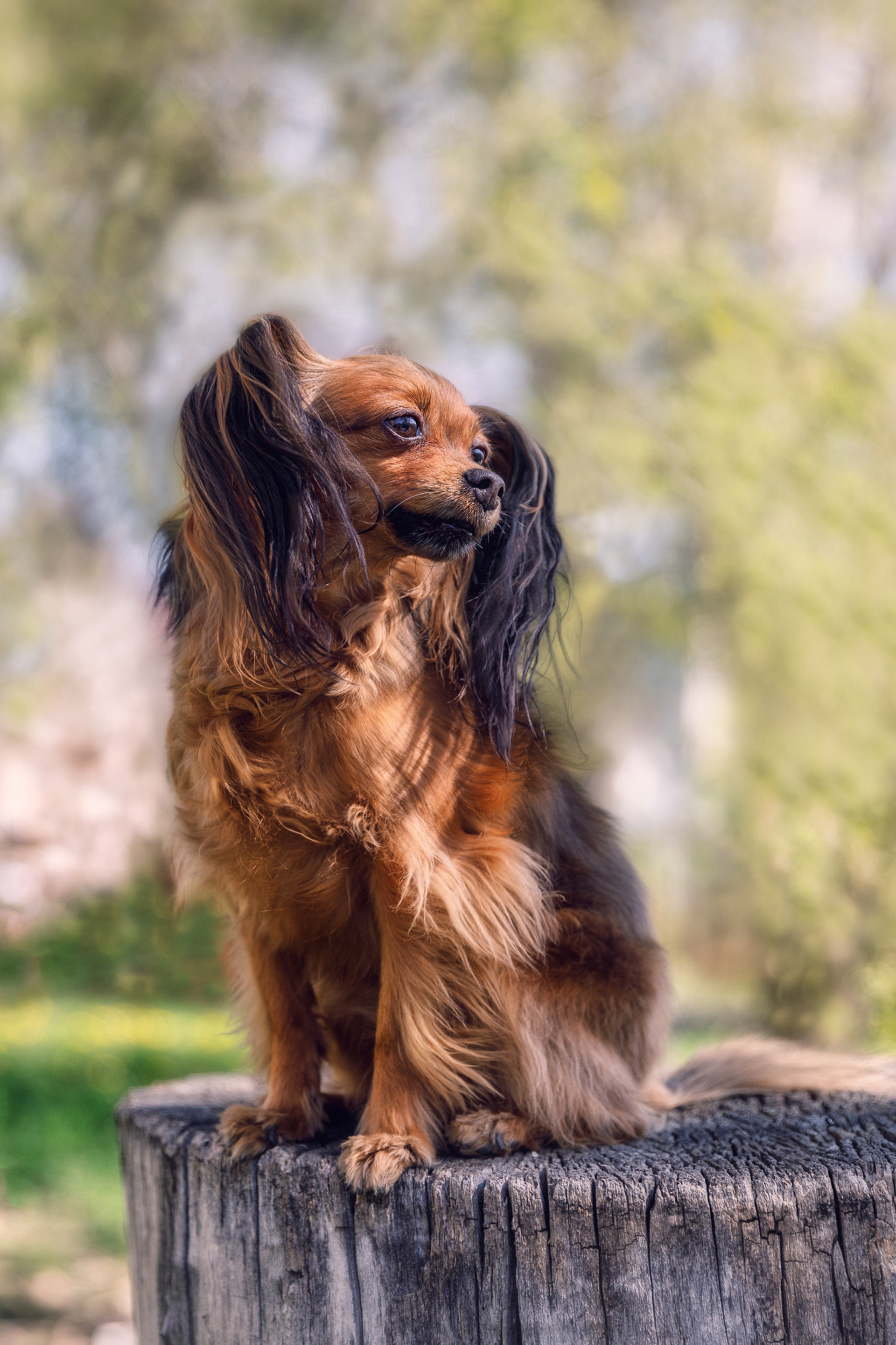 Блог. Фотограф в Новосибирске