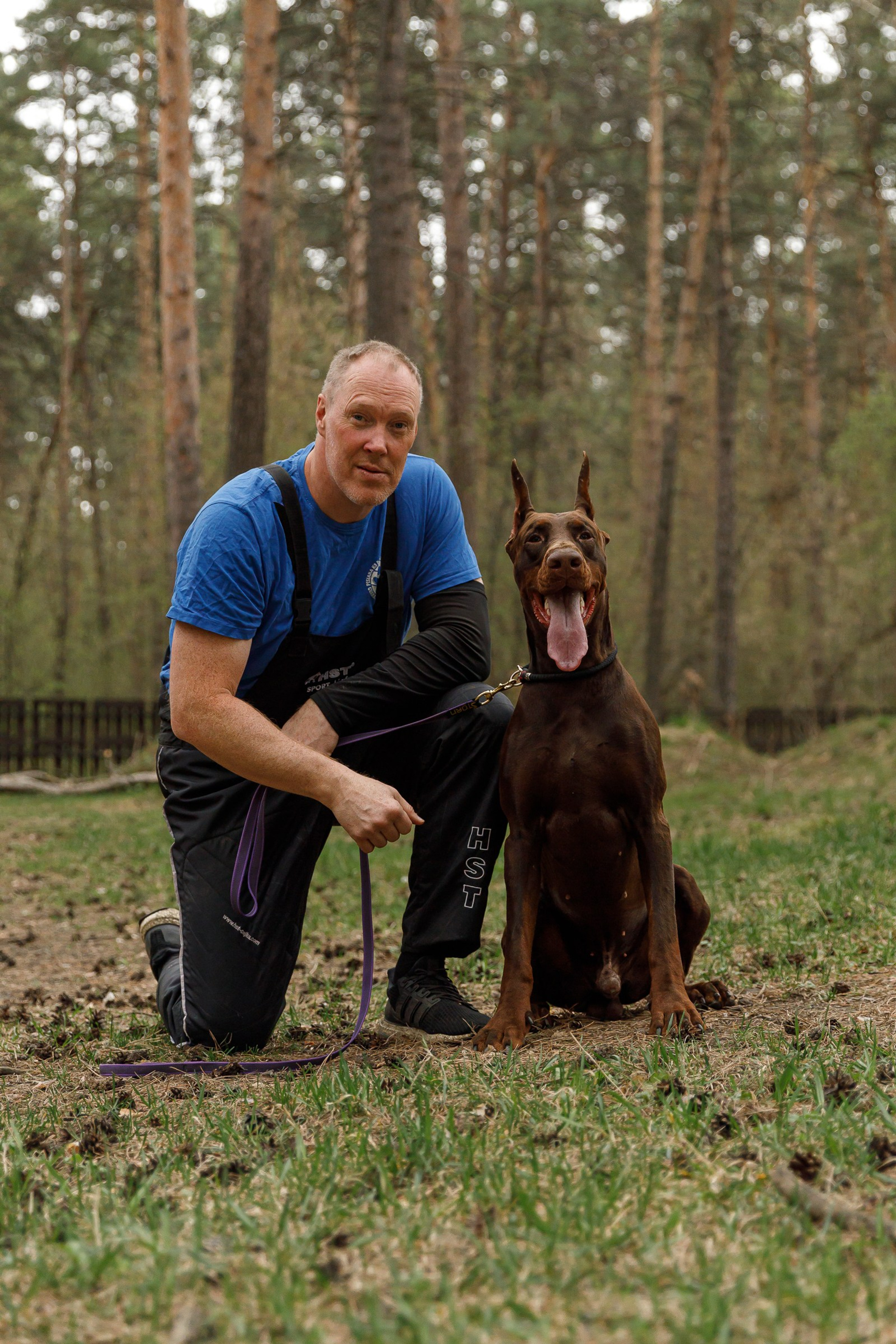 Рабочие собаки