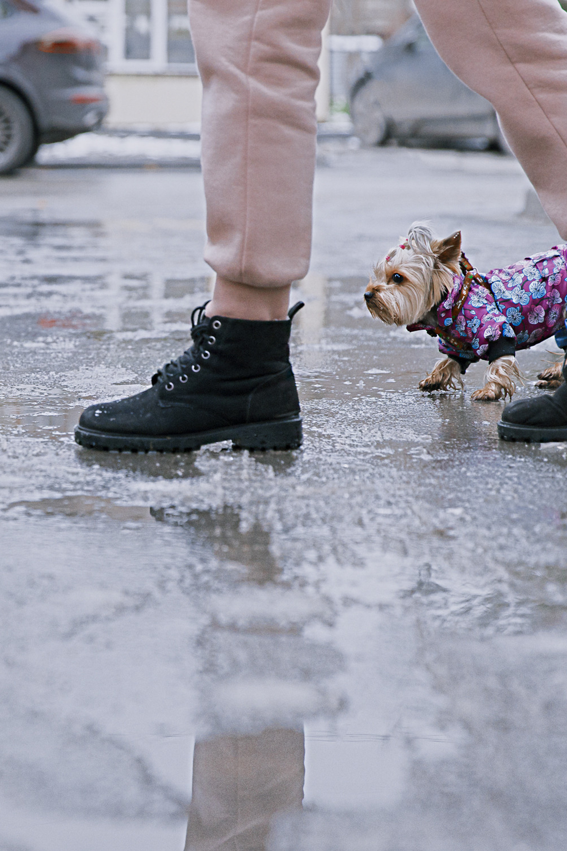 Оля и Молли