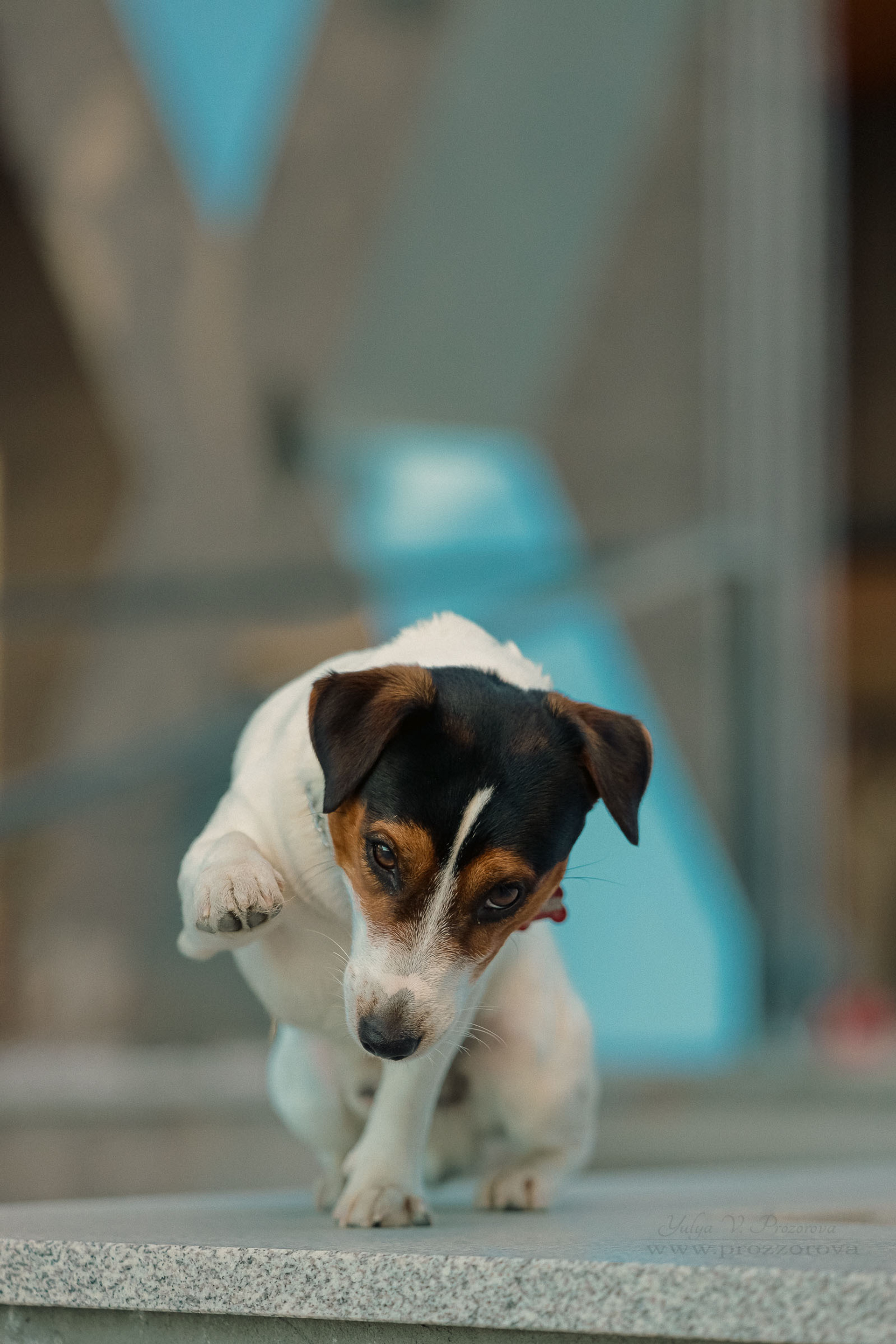 Любовь и Рэд