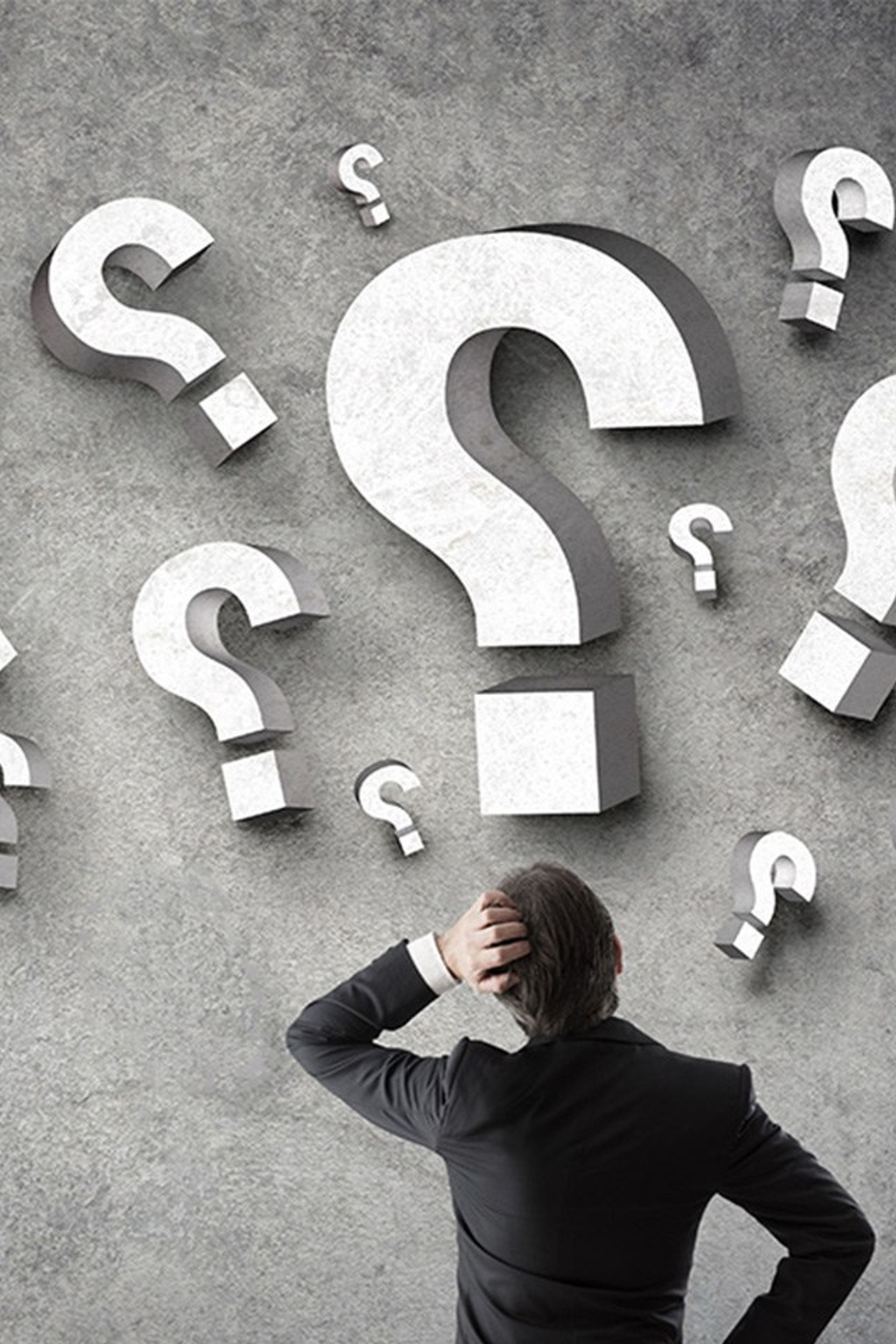 Портфолио и вопросы