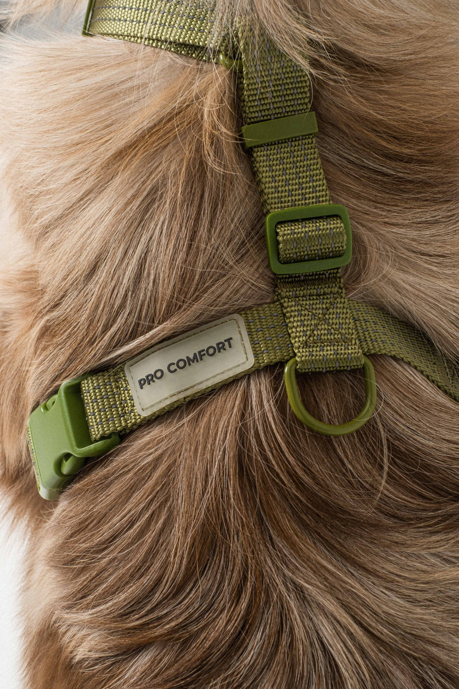 Отзывы. Семейный фотограф и анималист в Москве Анна Иванова