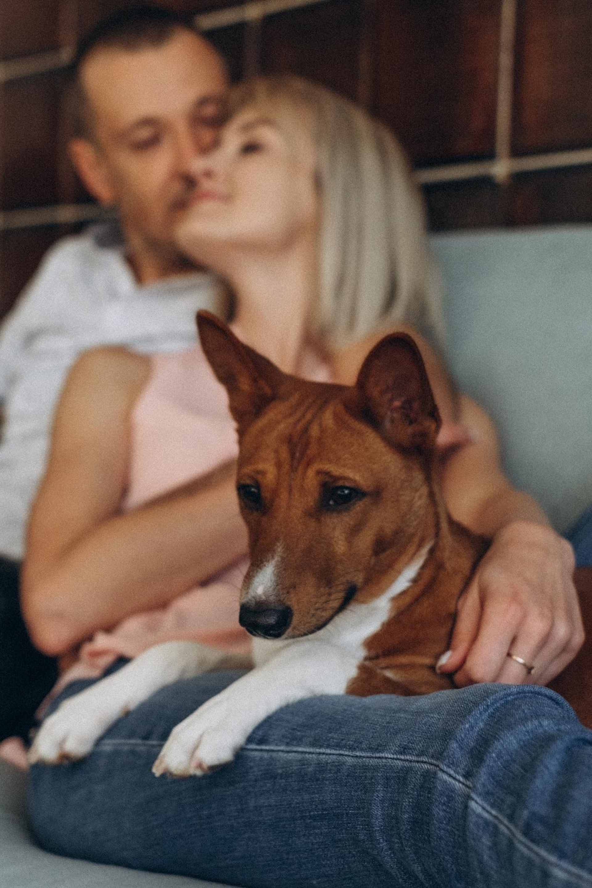 Отзывы. Семейный фотограф и анималист в Москве Анна Иванова