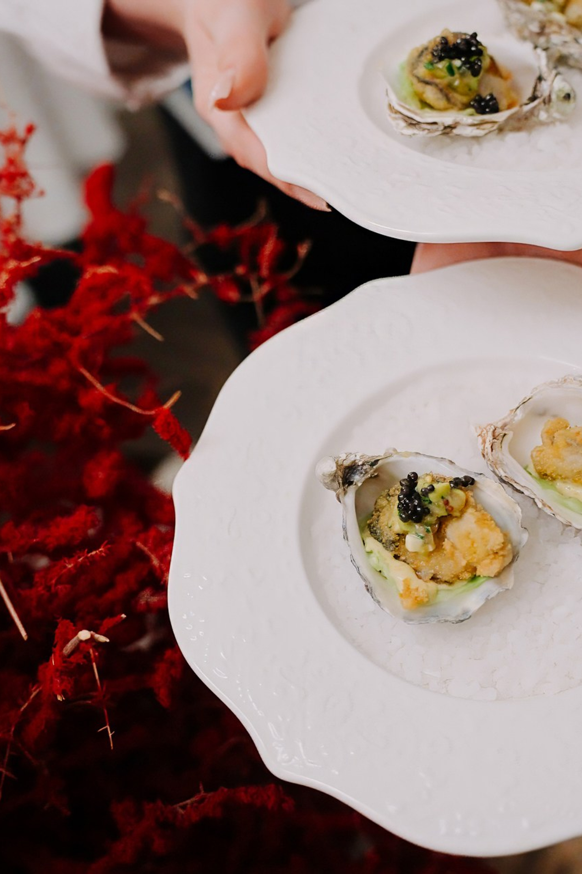 Винный ужин в Lou Lou