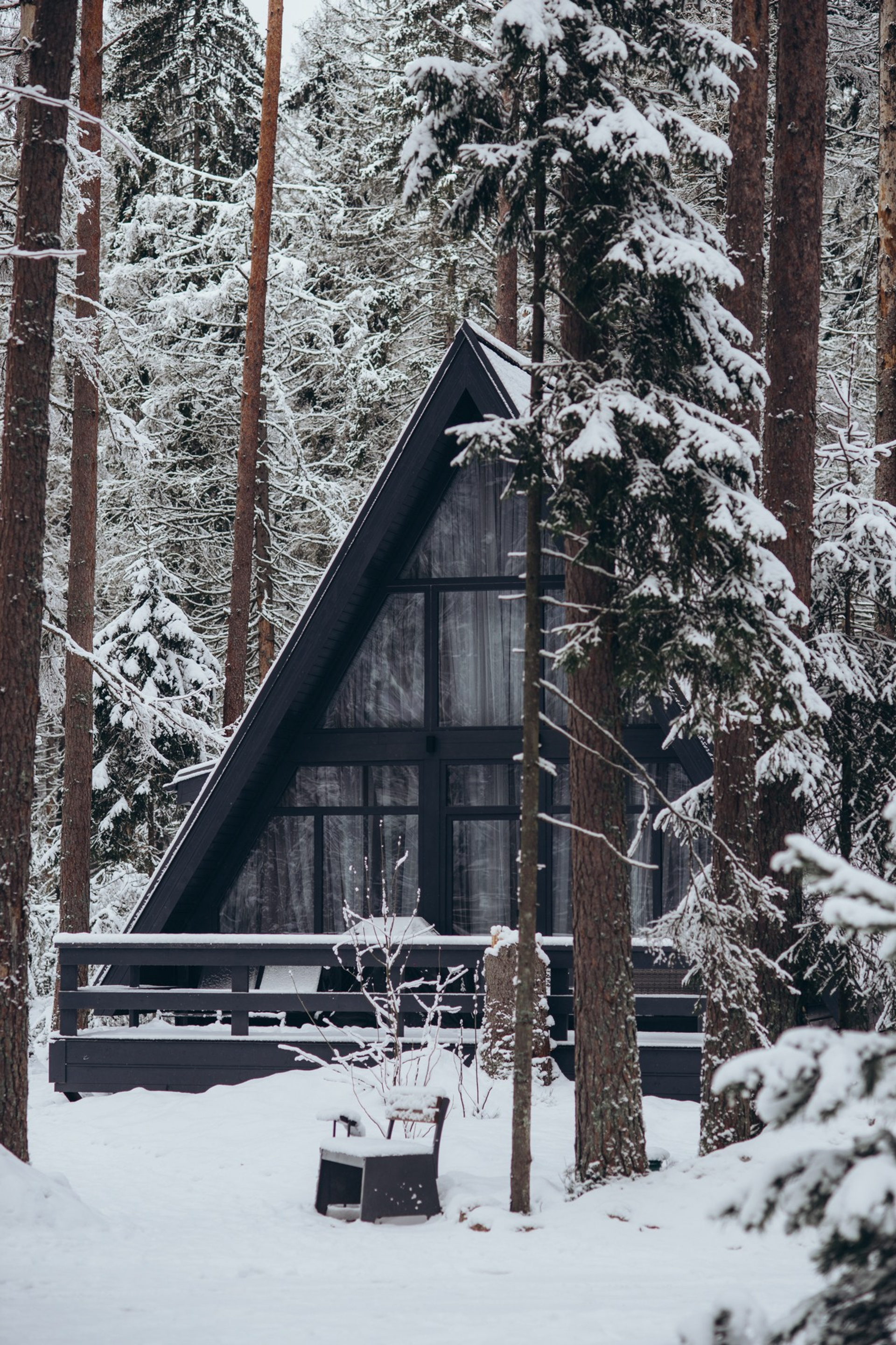 Глэмпинг View-Ga Wild Forest