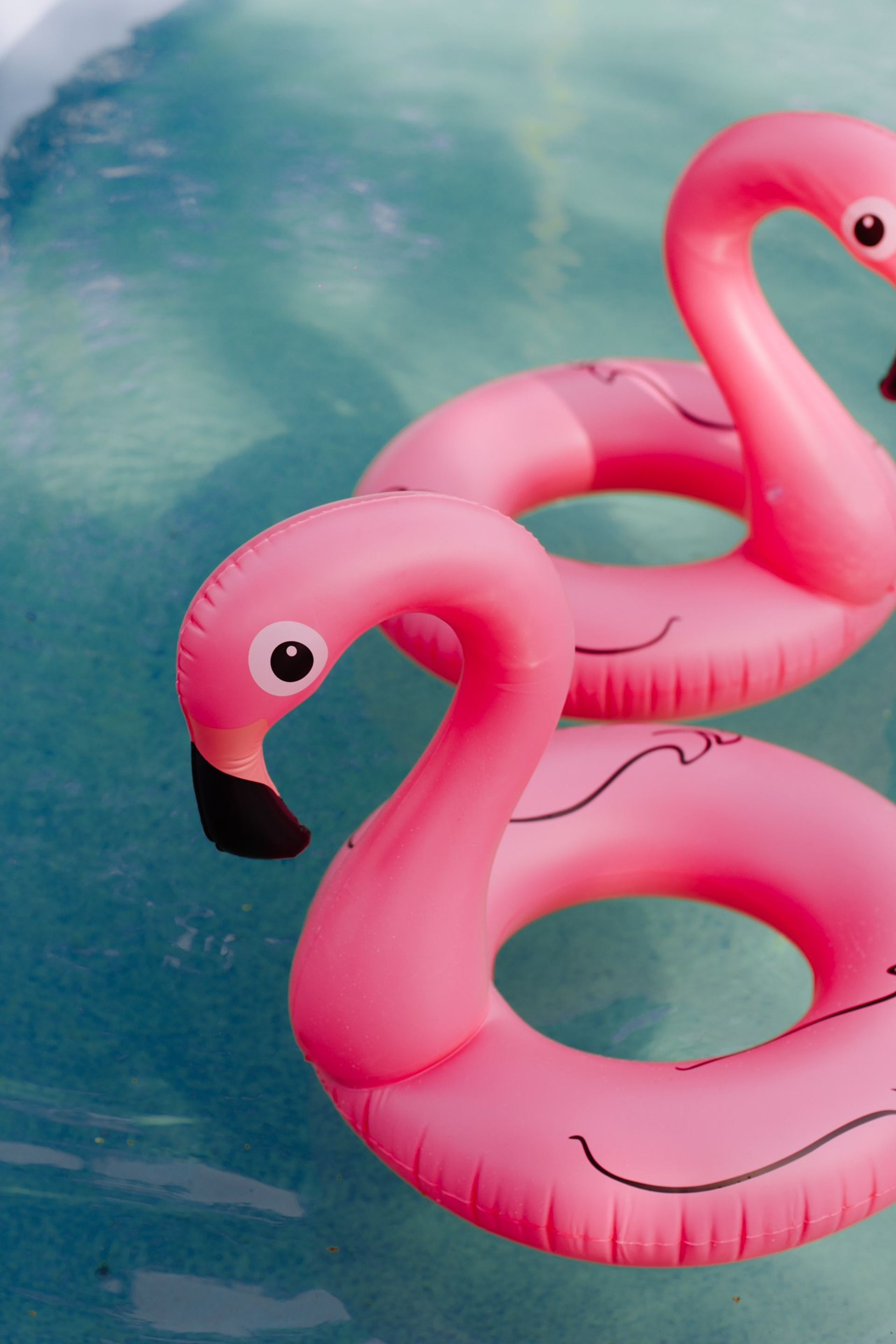 Официальное открытие ЛЕТОБАР 2.0