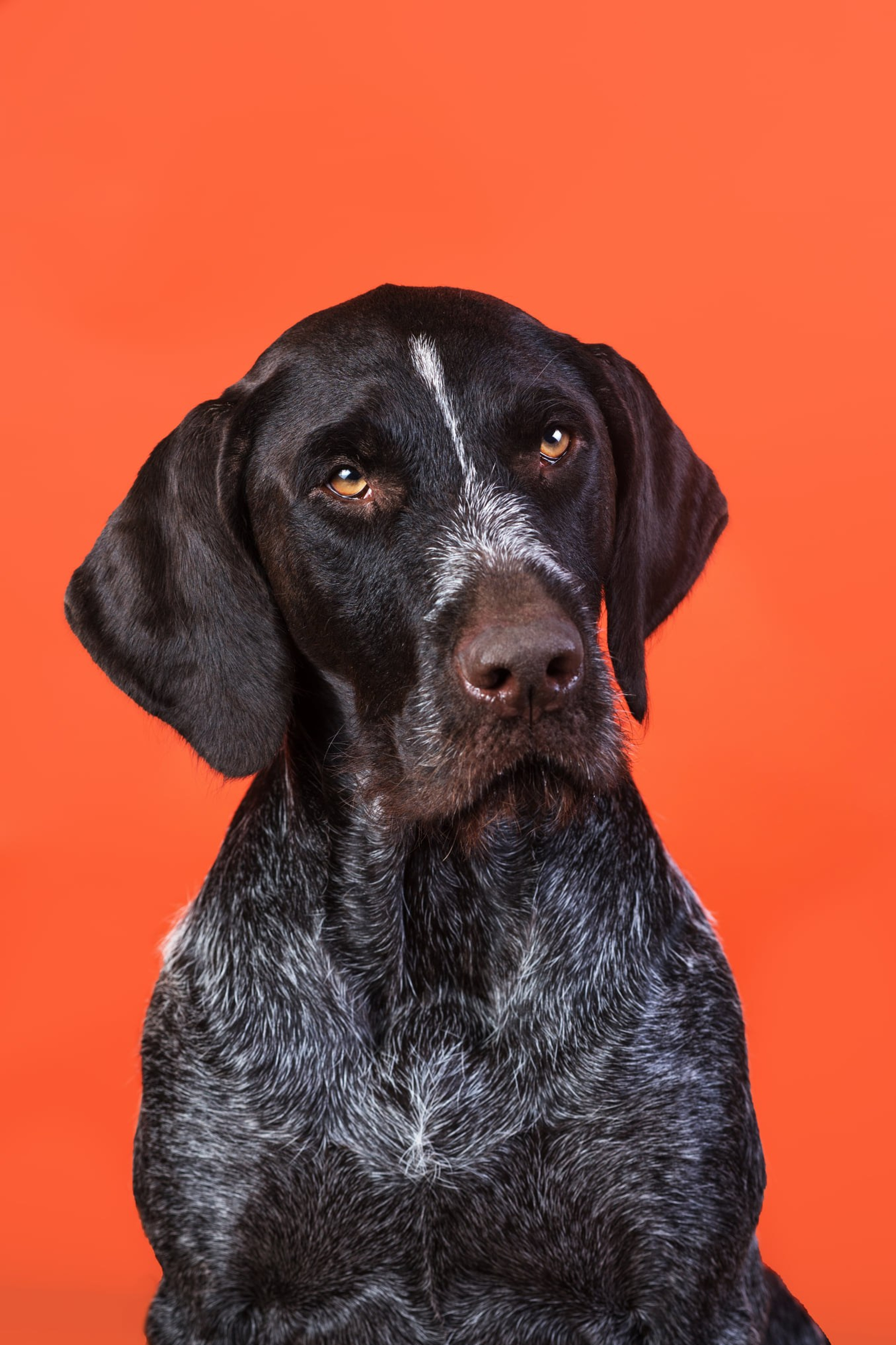 Фотографии