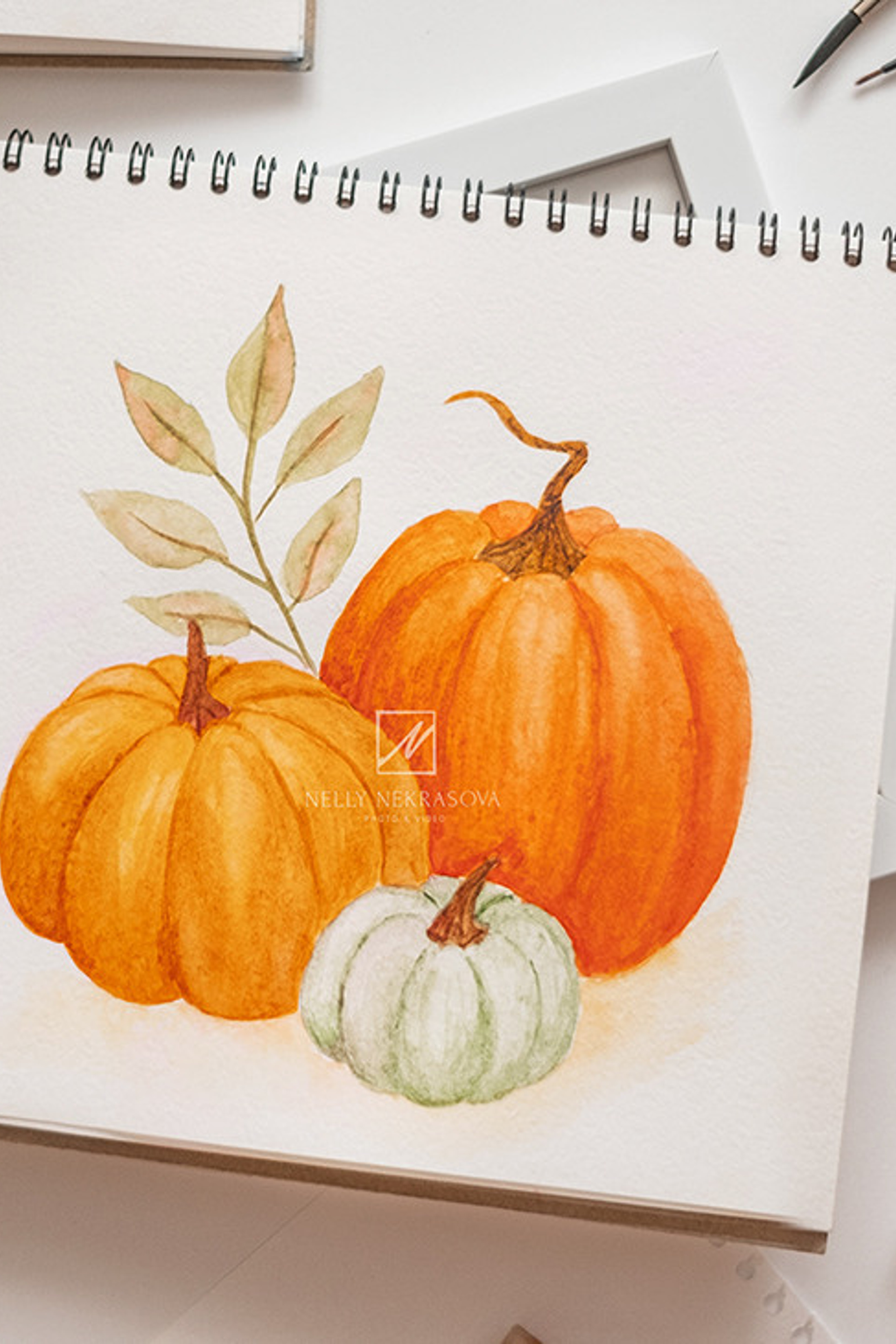 Блог. Фотограф и искусствовед в Туле и Санкт-Петербурге Нелли Некрасова