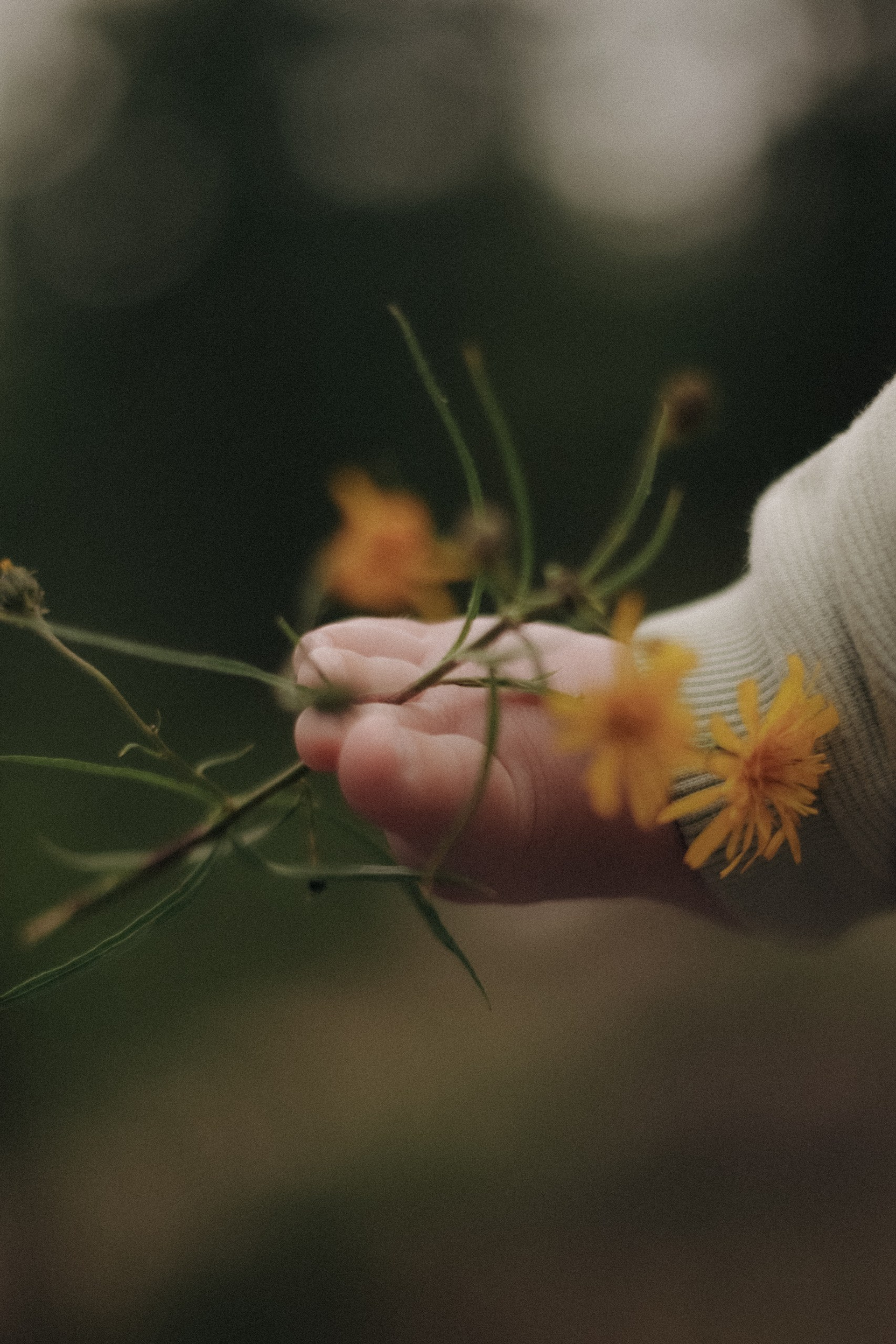 Твое первое лето