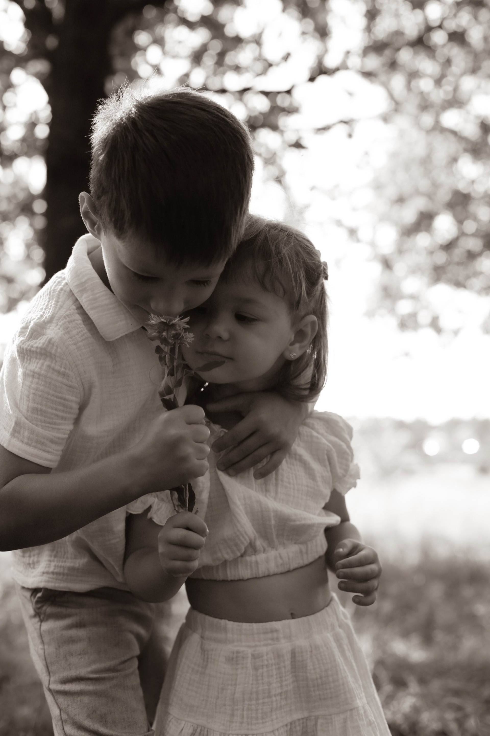 Семейная прогулка. Главная