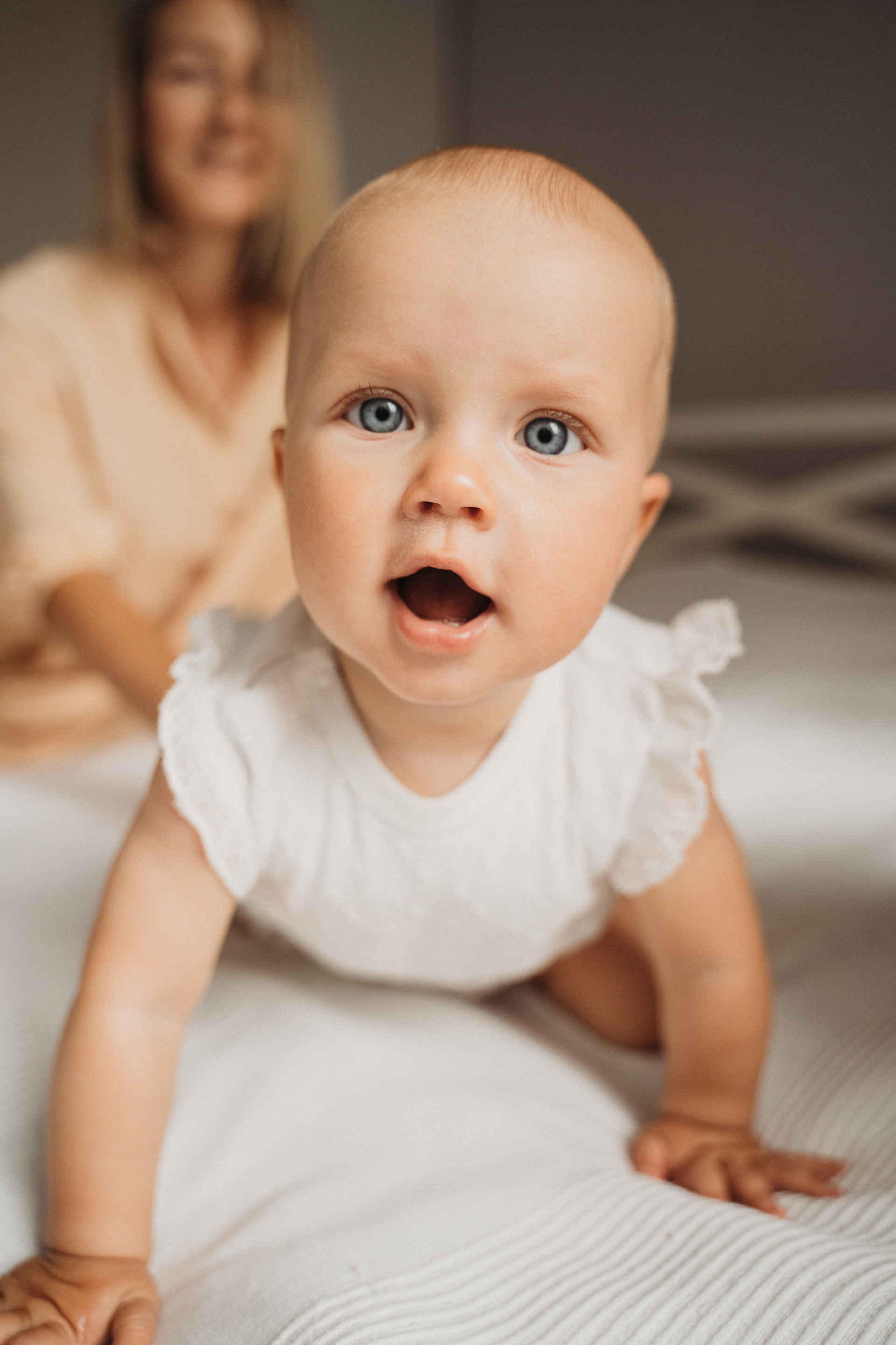 Домашняя история