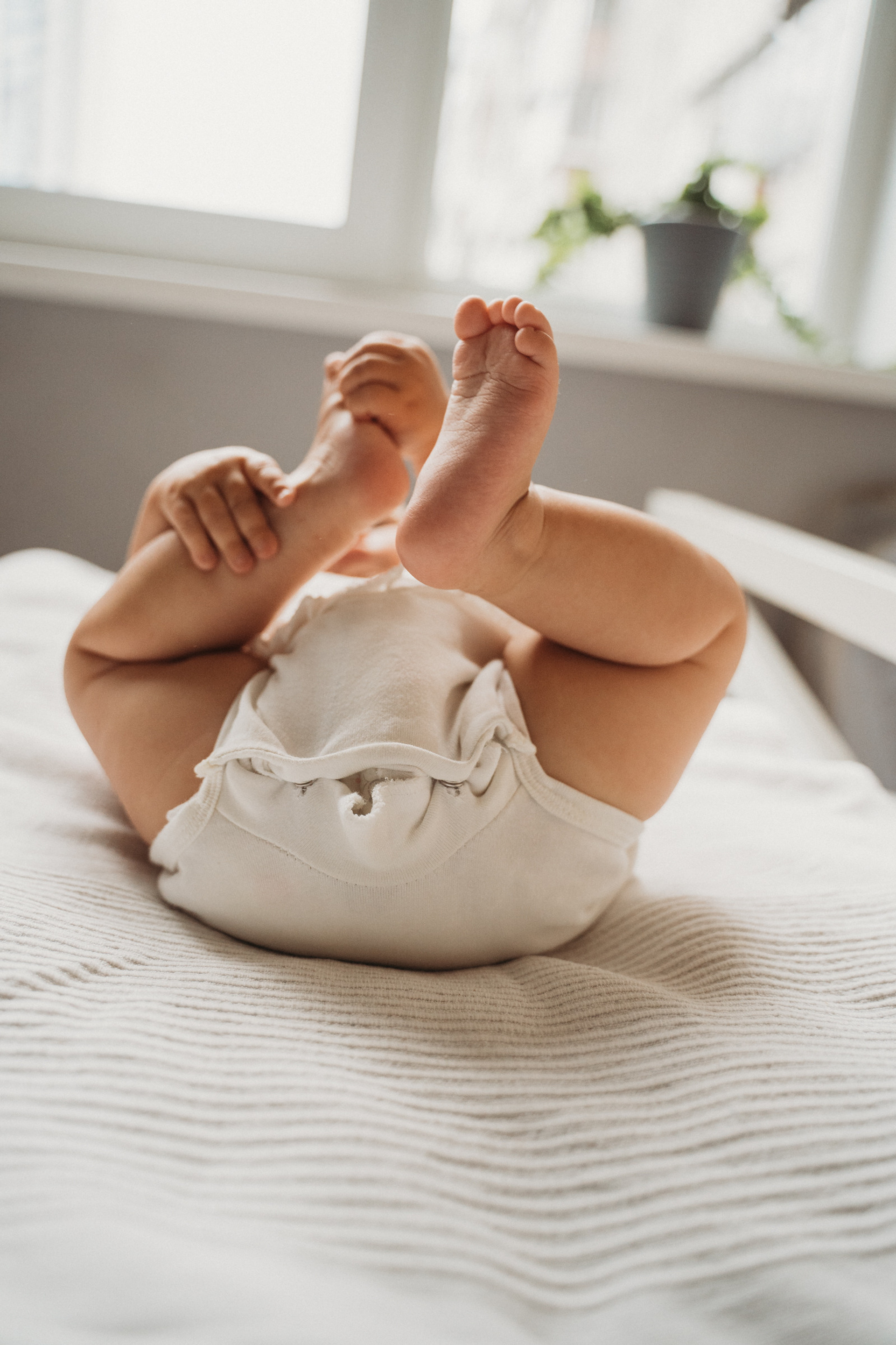 Домашняя история