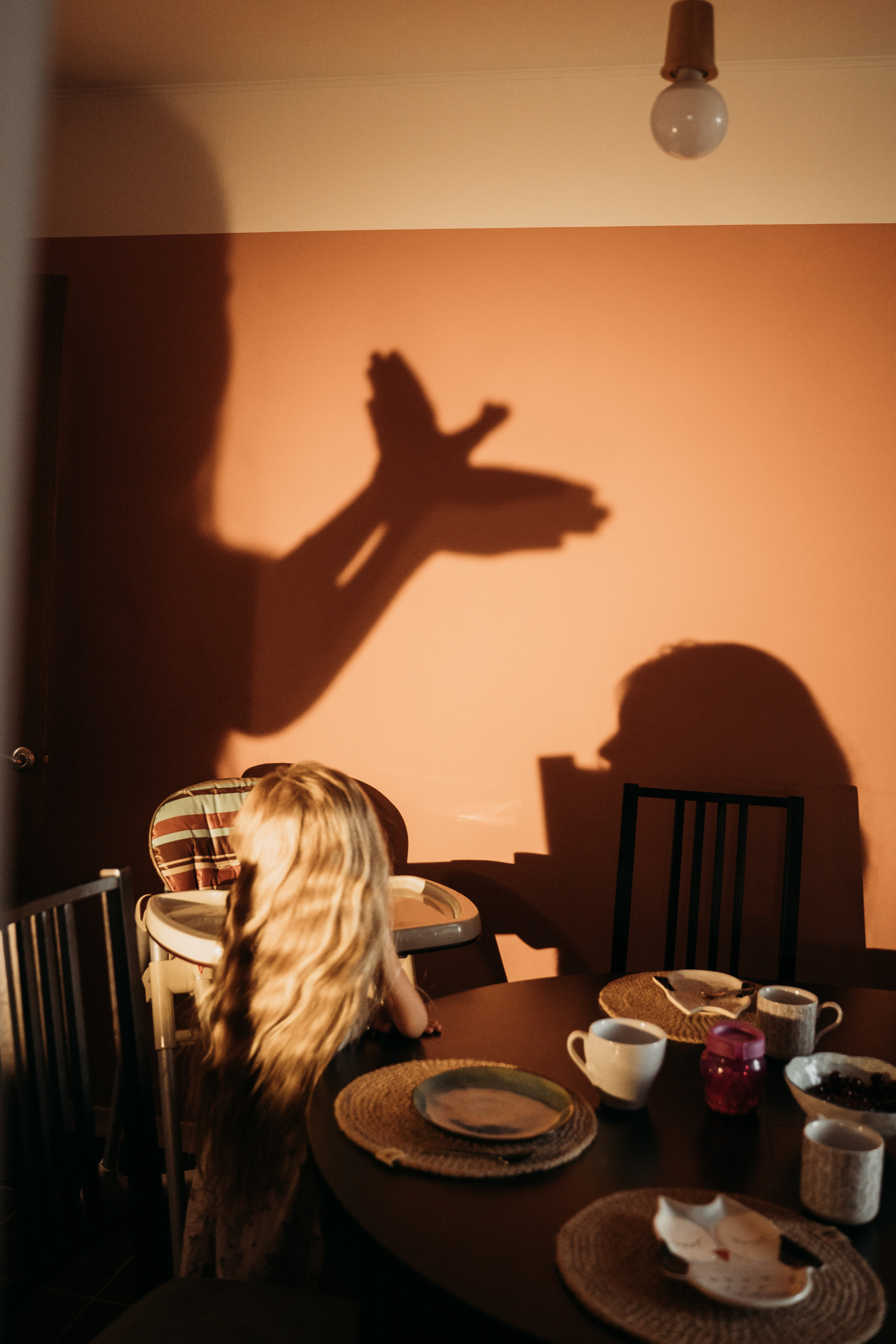 Домашняя история