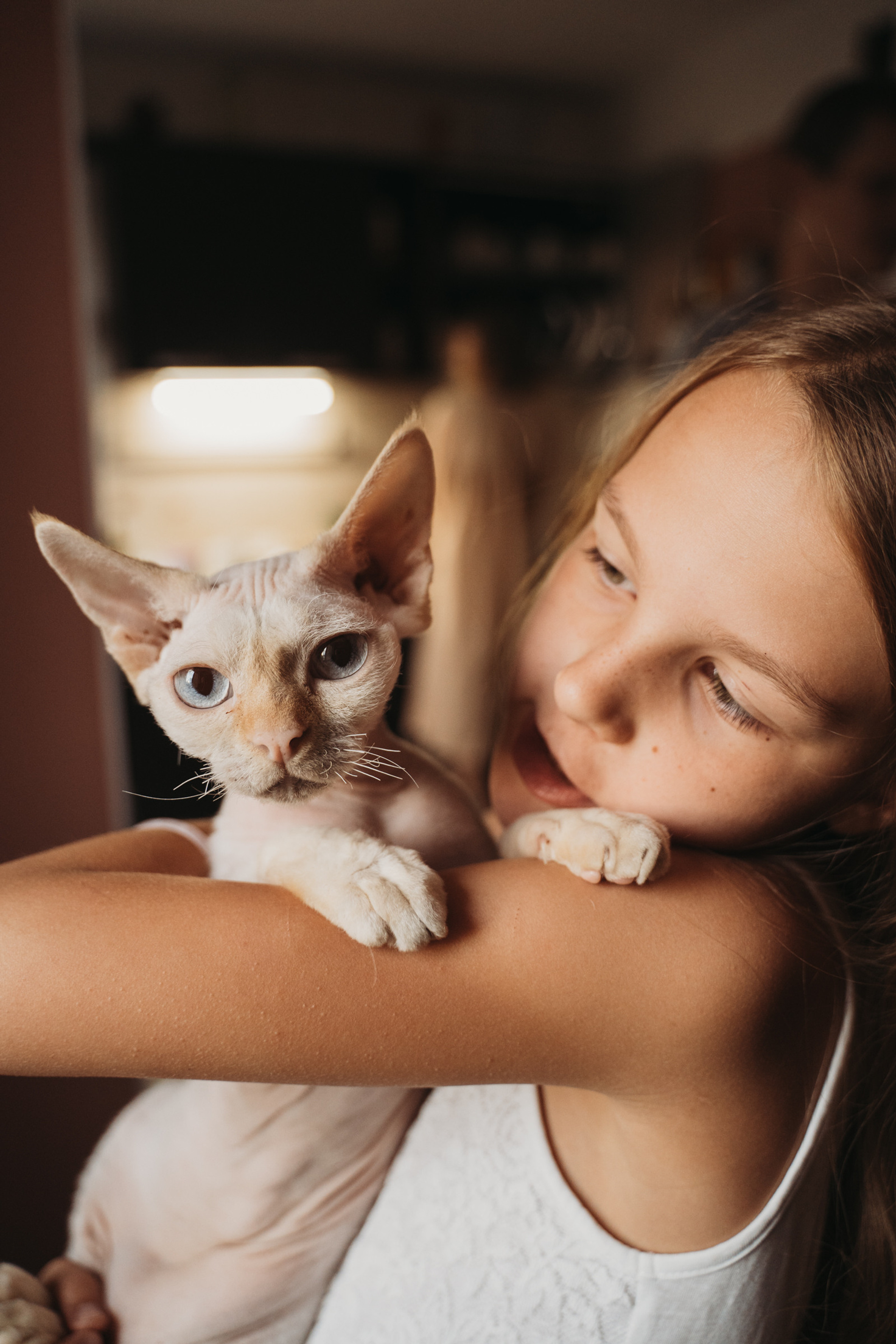 Домашняя история