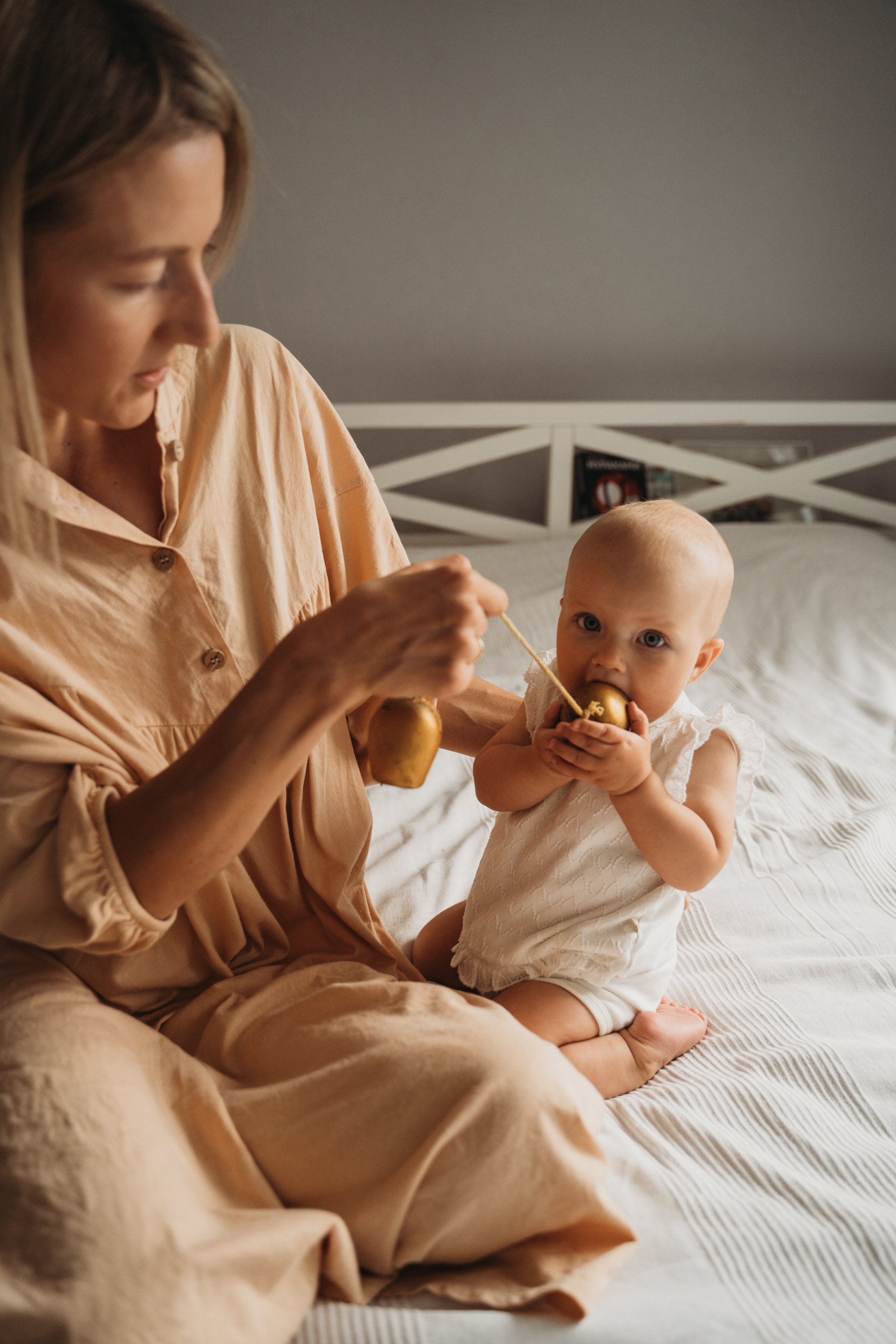 Домашняя история