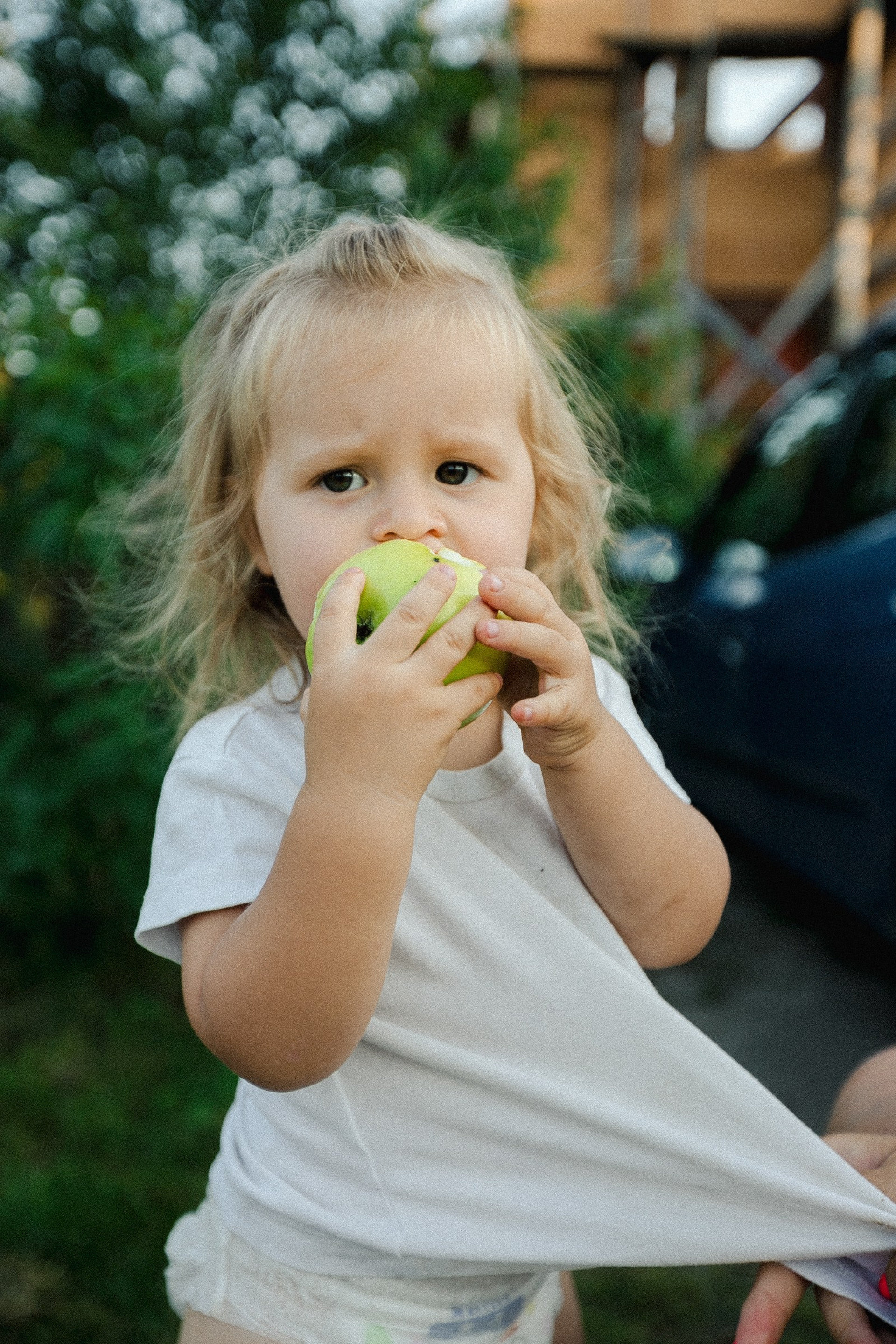 Дашуля и семья