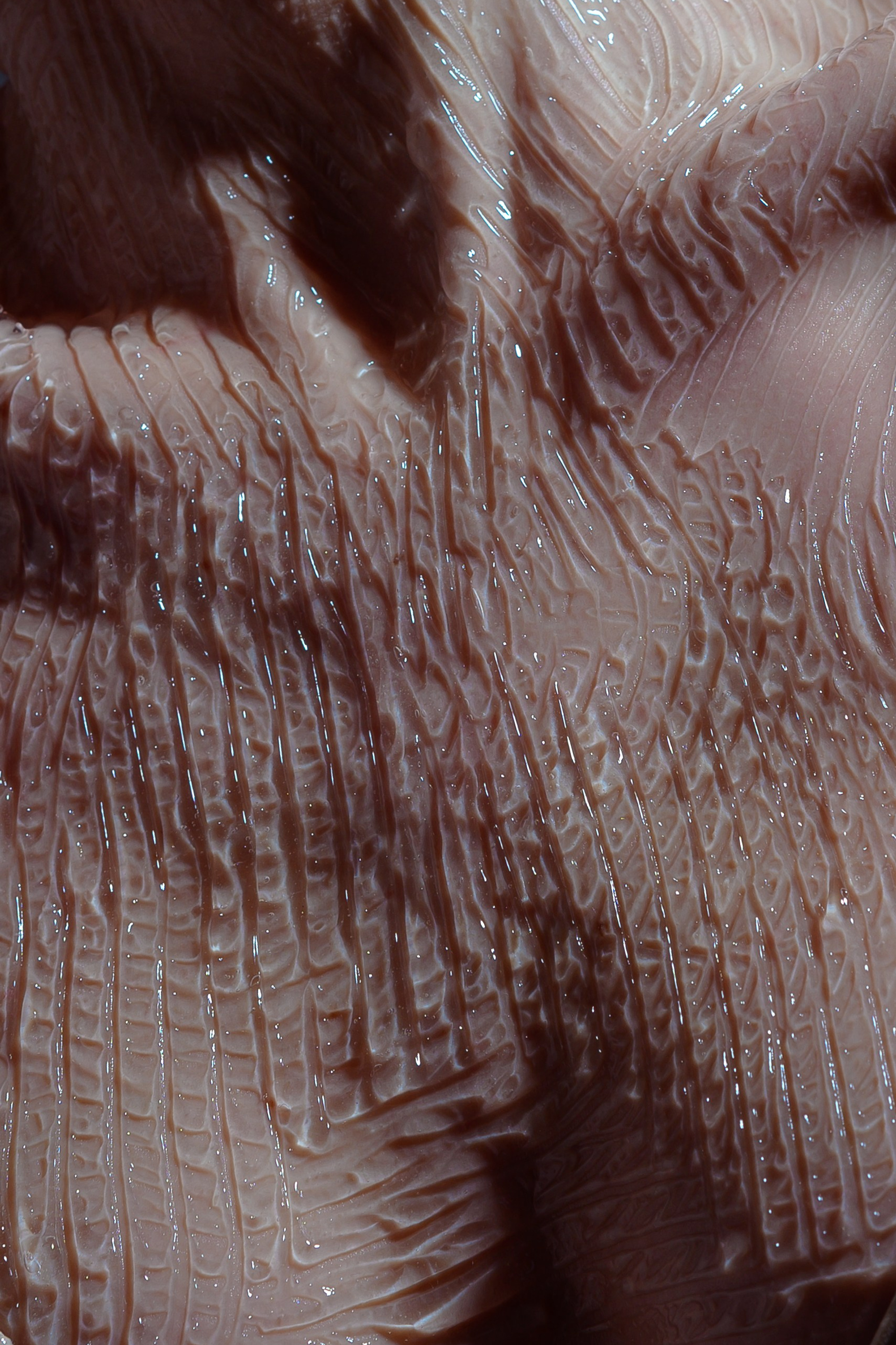 Гель. Фотограф Краснодар Александр Щедринский