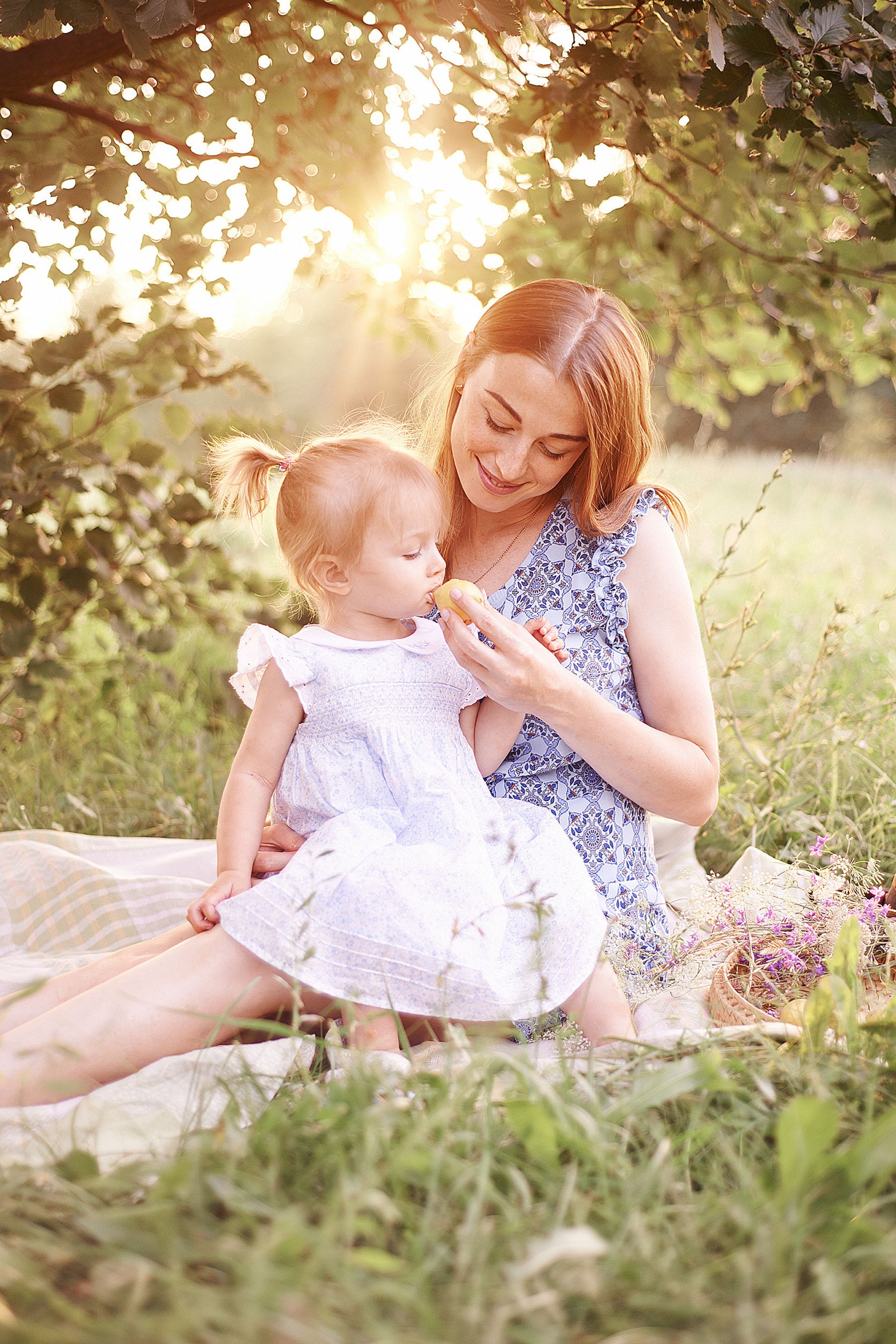 Лето с ароматом абрикос