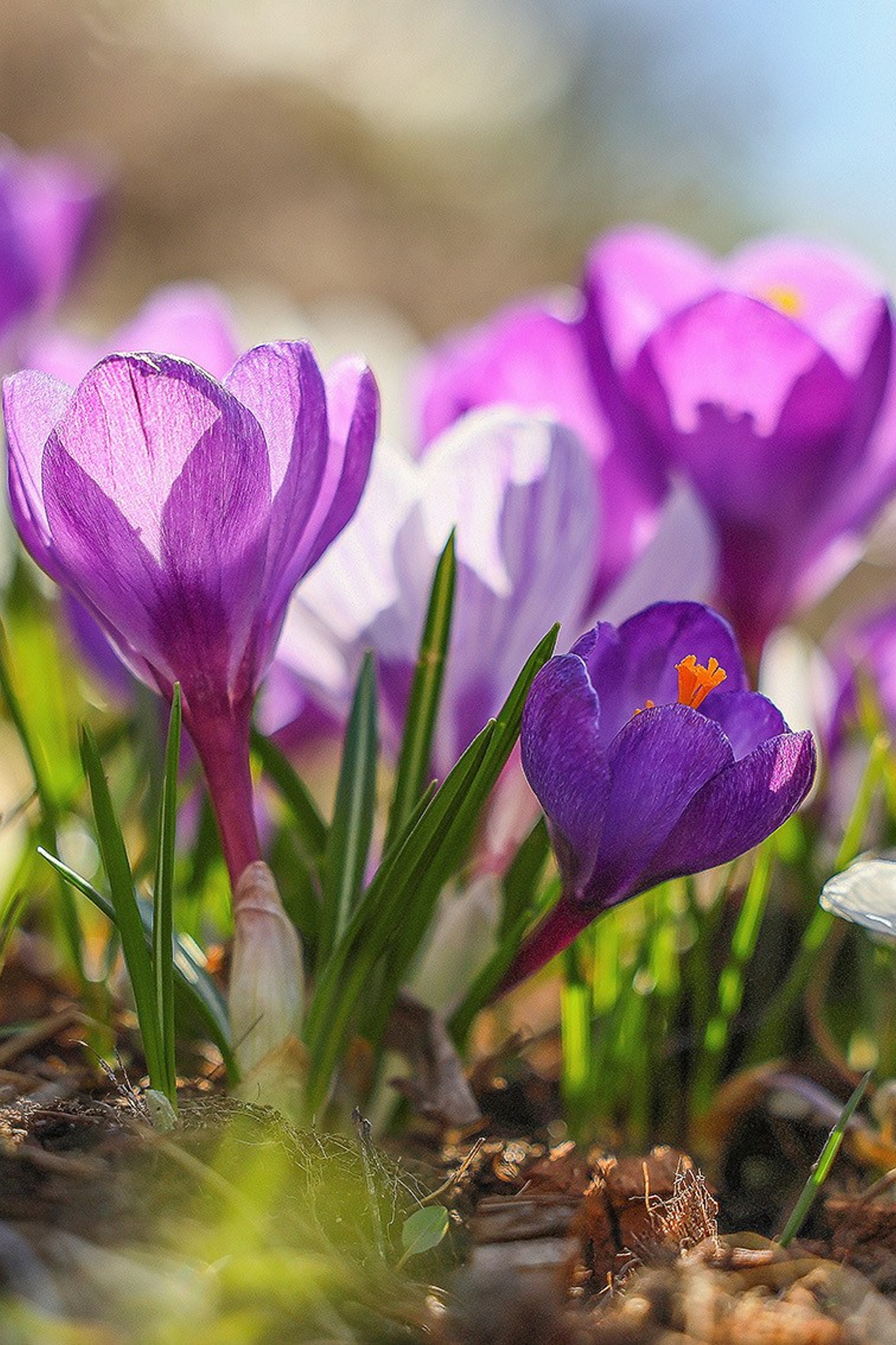 Новости. Ландшафтный фотограф Андрей Лысиков, Москва