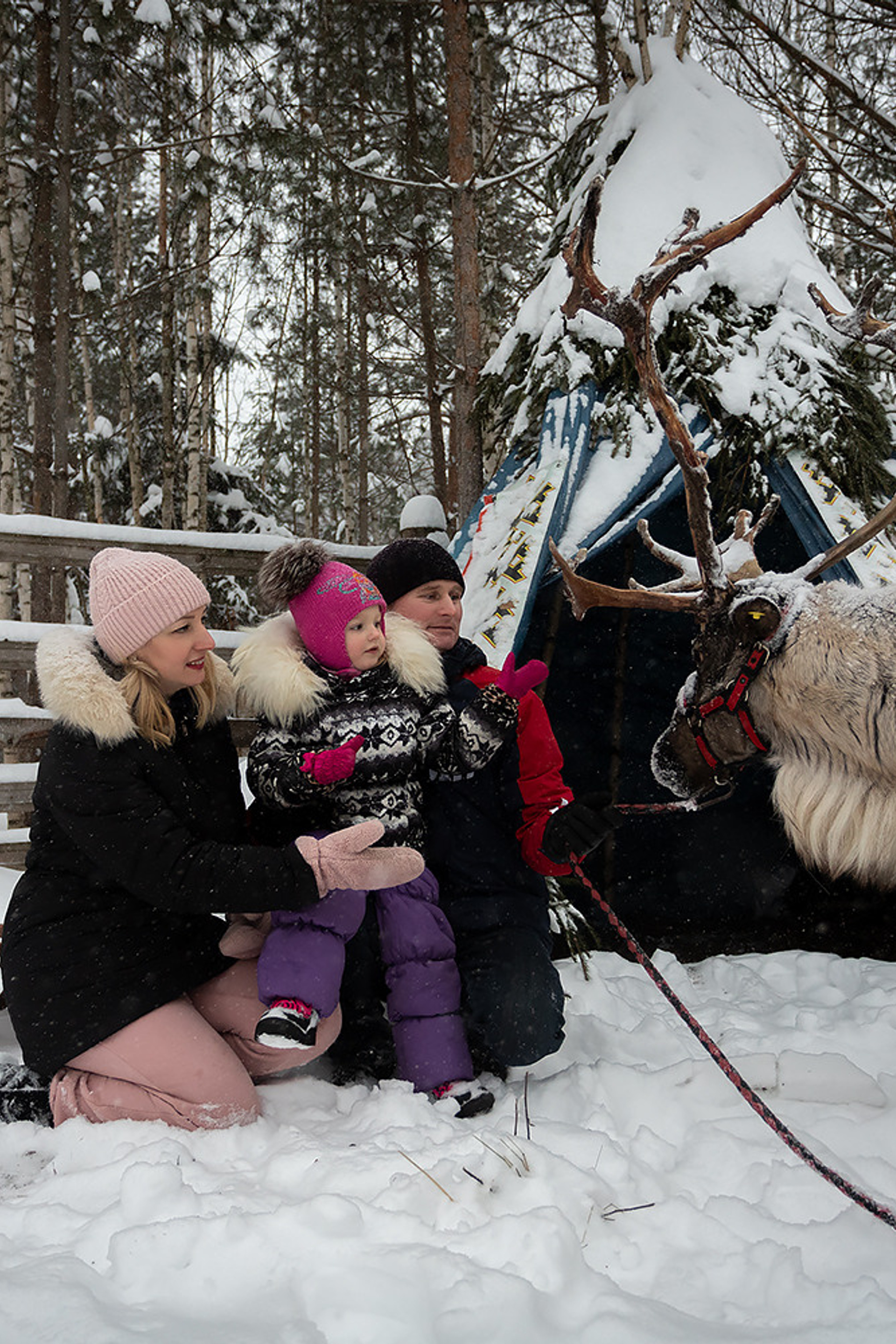 Истории. Семейный и свадебный фотограф в Перми