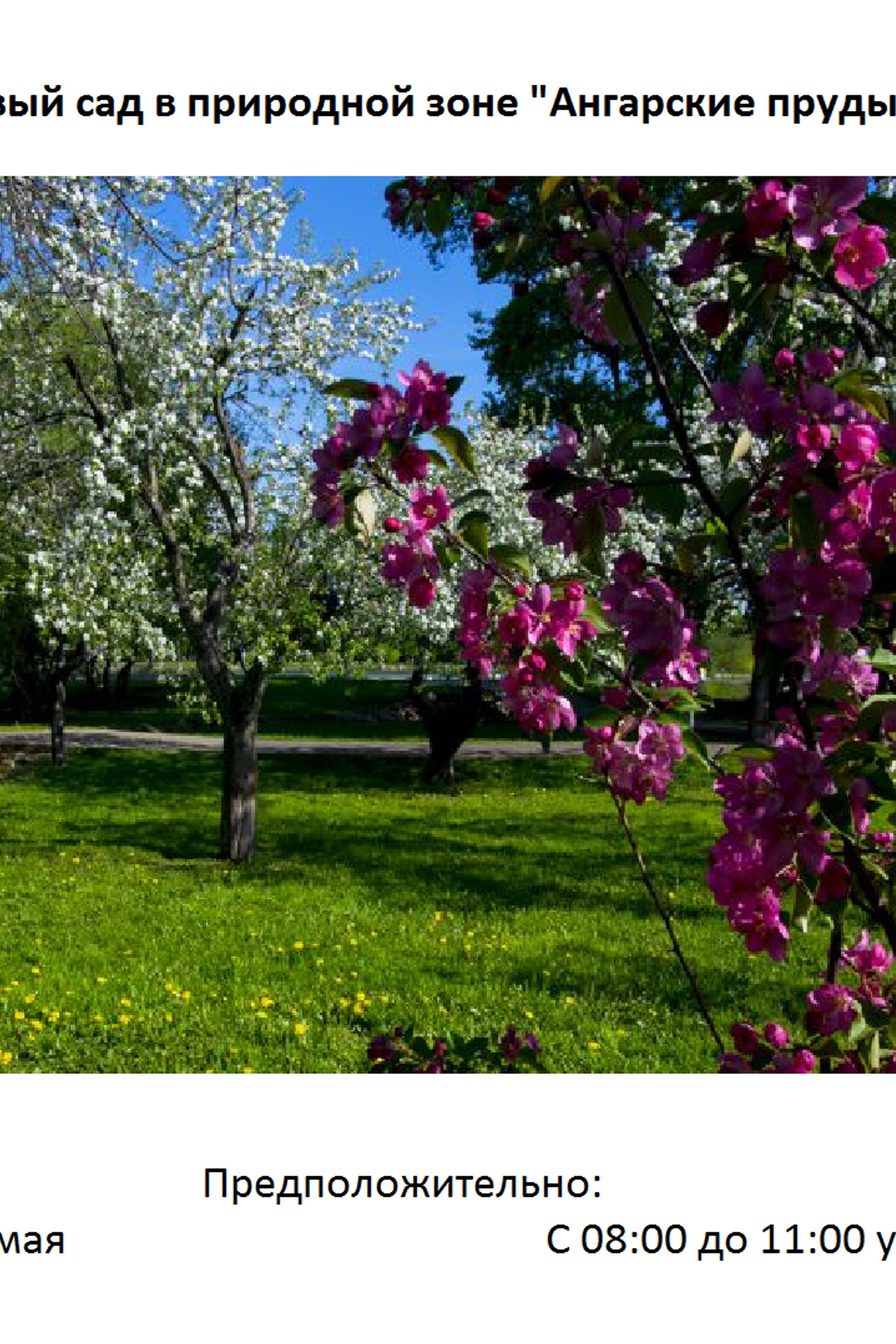 Городская фотосессия. Семейный фотограф