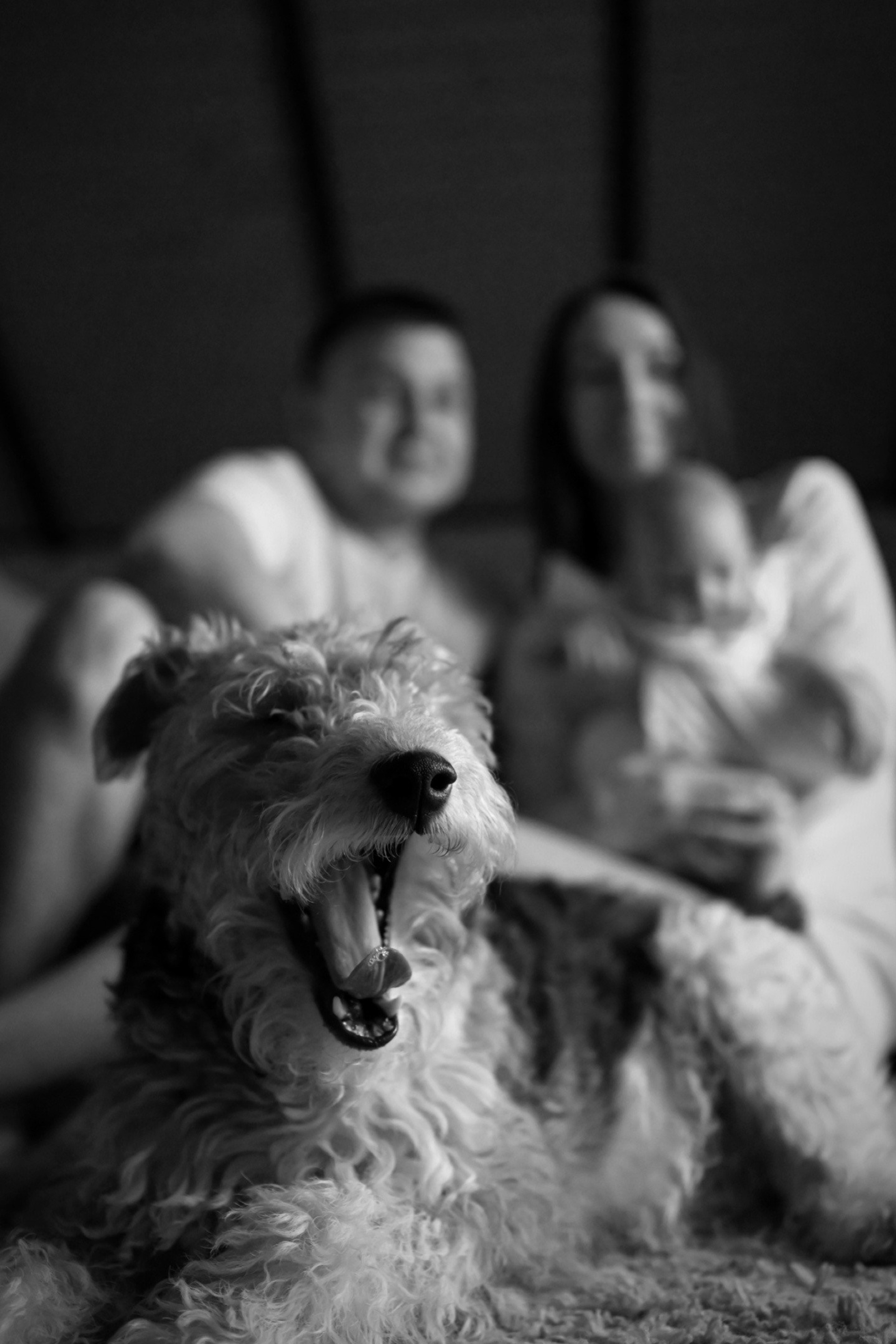 Семейные фотосессии