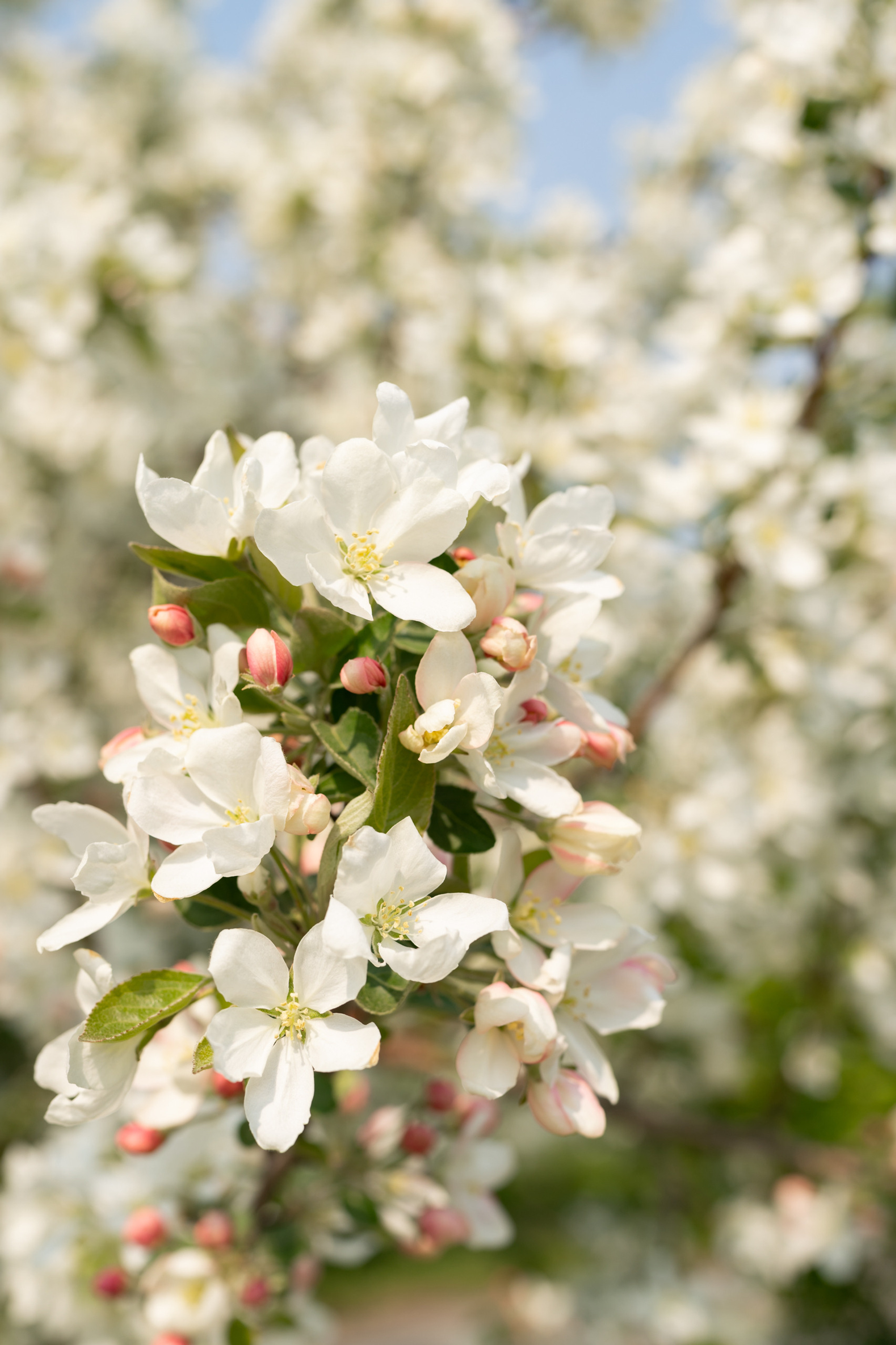 Отзывы. Евгений Щетников Фотограф-Тюмень