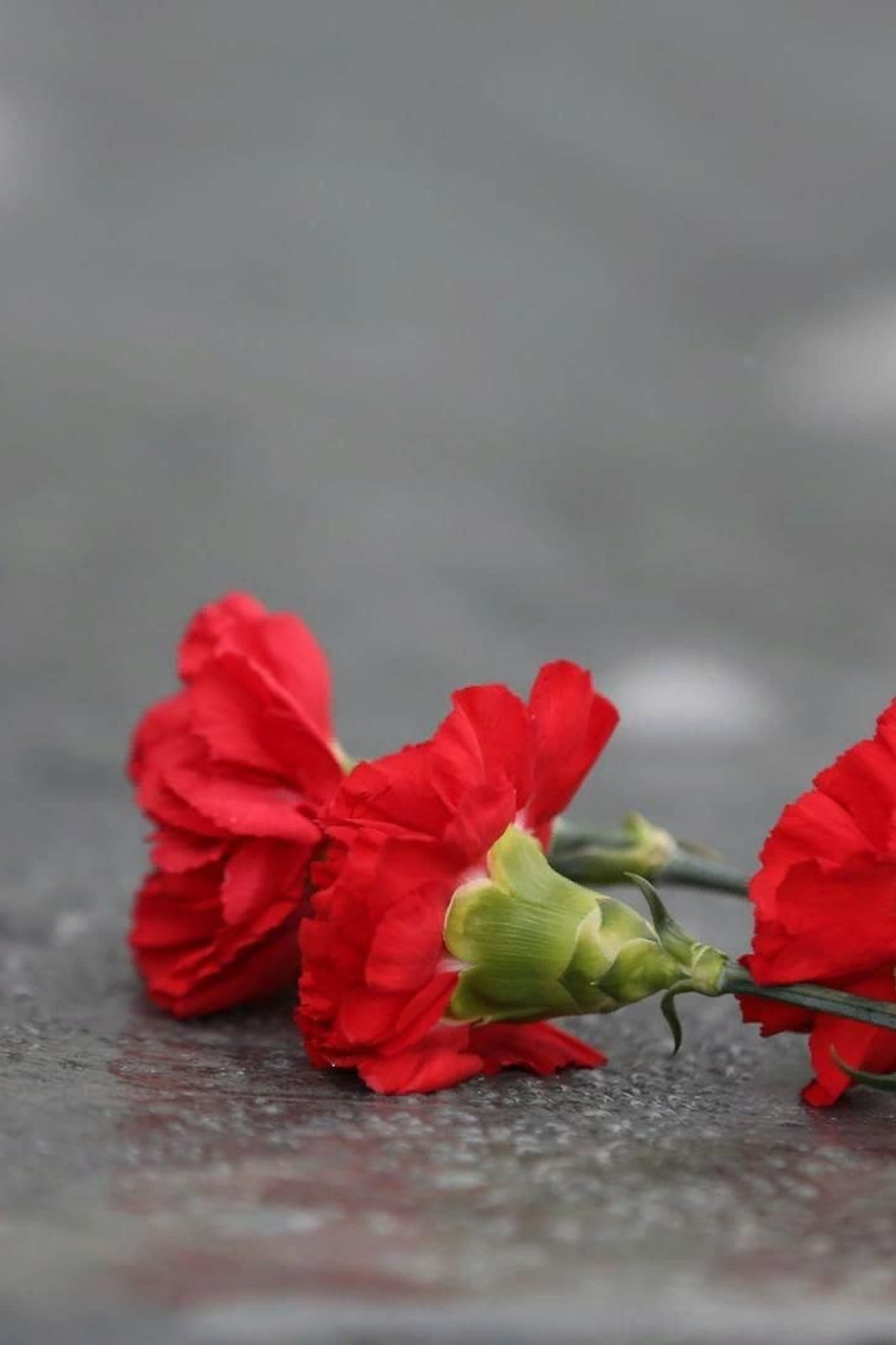 Памяти жертв политических репрессий. История Назиевского городского поселения