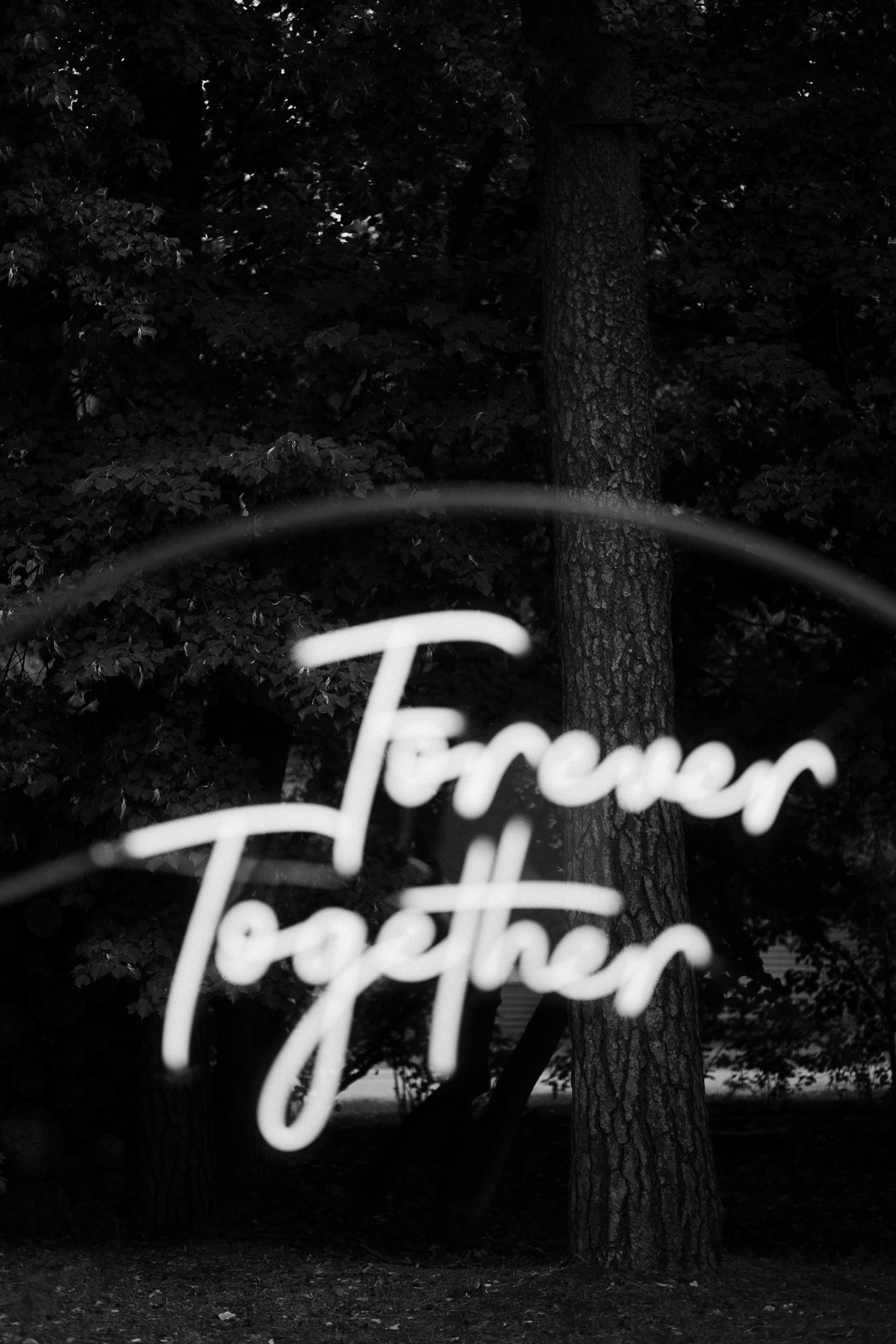 Андрей и Милена. Свадебный фотограф в Рязани и Москве Егоркин Стас