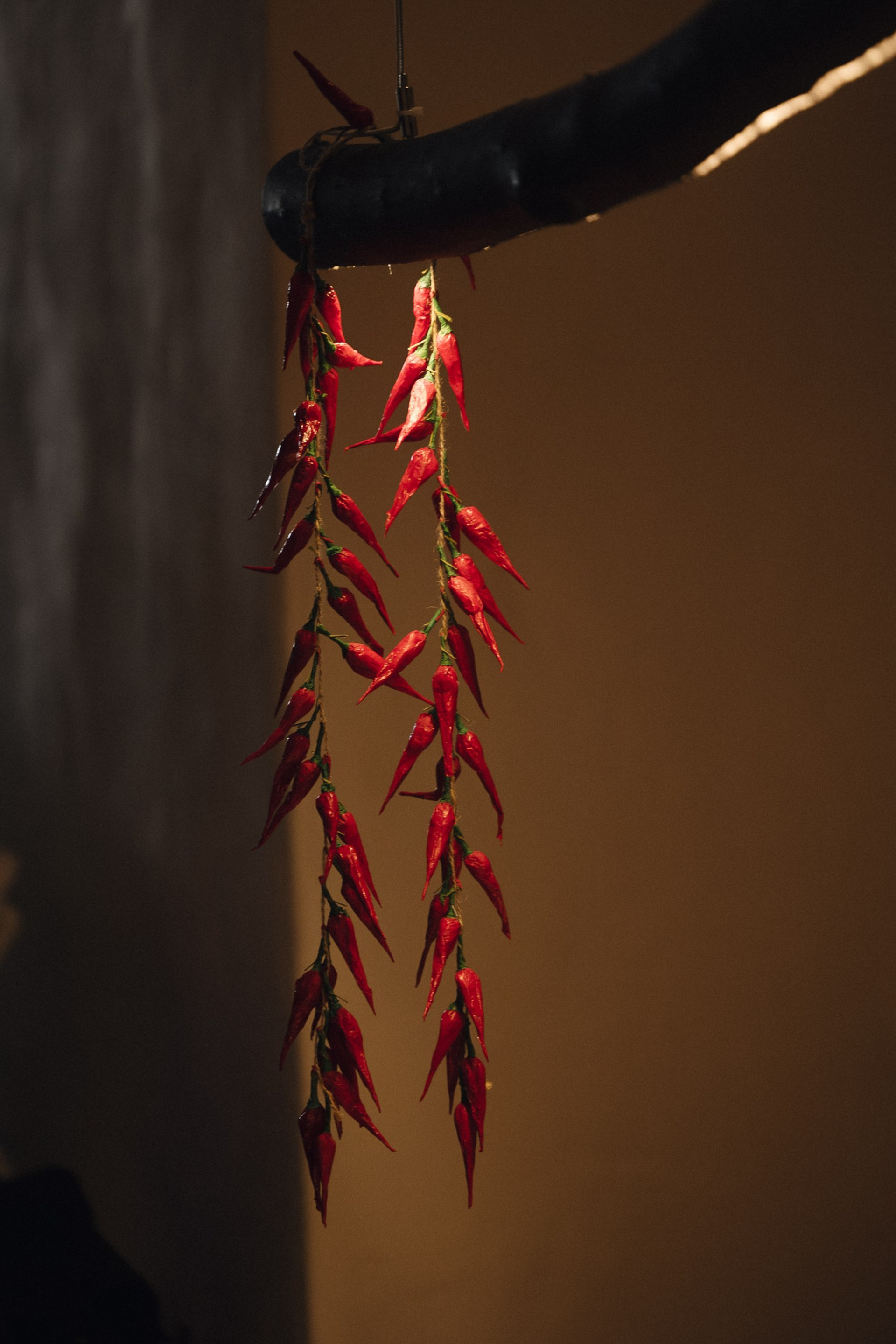 Открытие ресторана ЧИТИ. Свадебный фотограф в Рязани и Москве Егоркин Стас