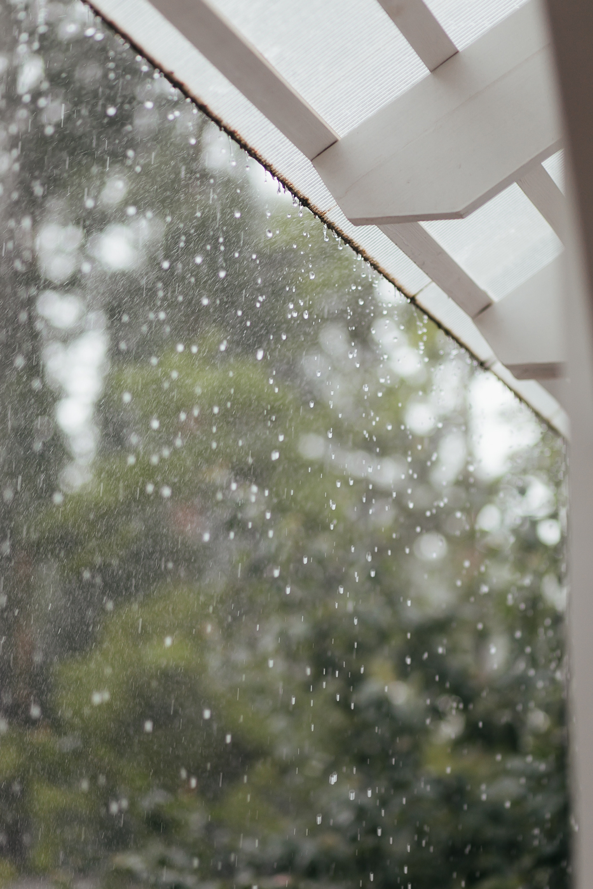 Андрей и Милена. Свадебный фотограф в Рязани и Москве Егоркин Стас