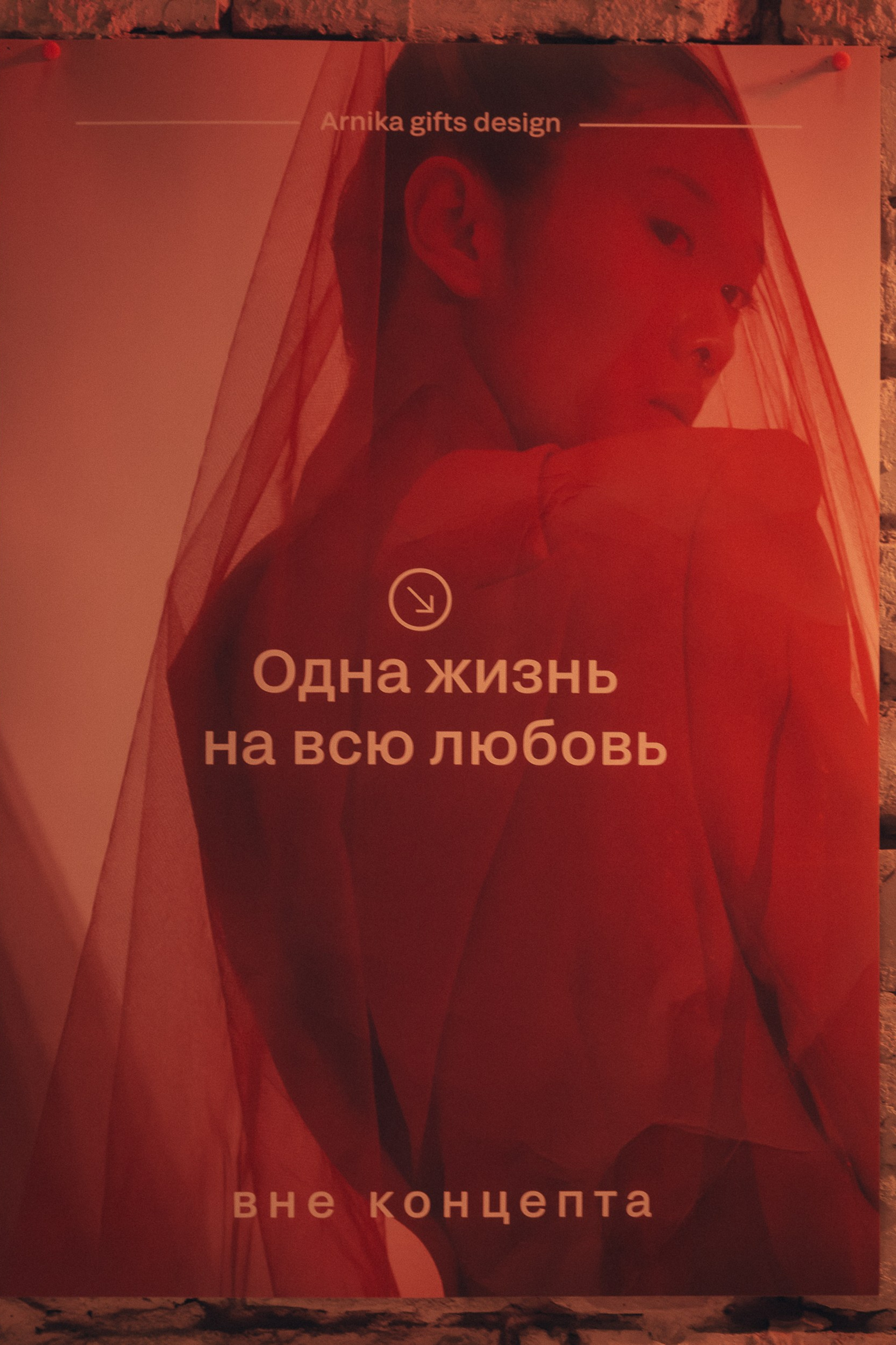 День рождения креативного агенства Арника. Свадебный фотограф в Рязани и Москве Егоркин Стас