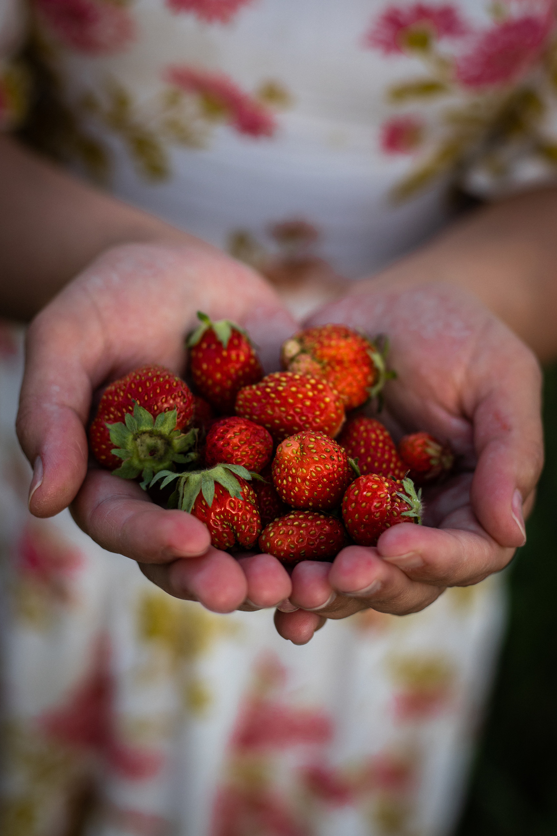 Отзывы о Марии Степ. Семейный и женский фотограф Кемерово Мария Степ