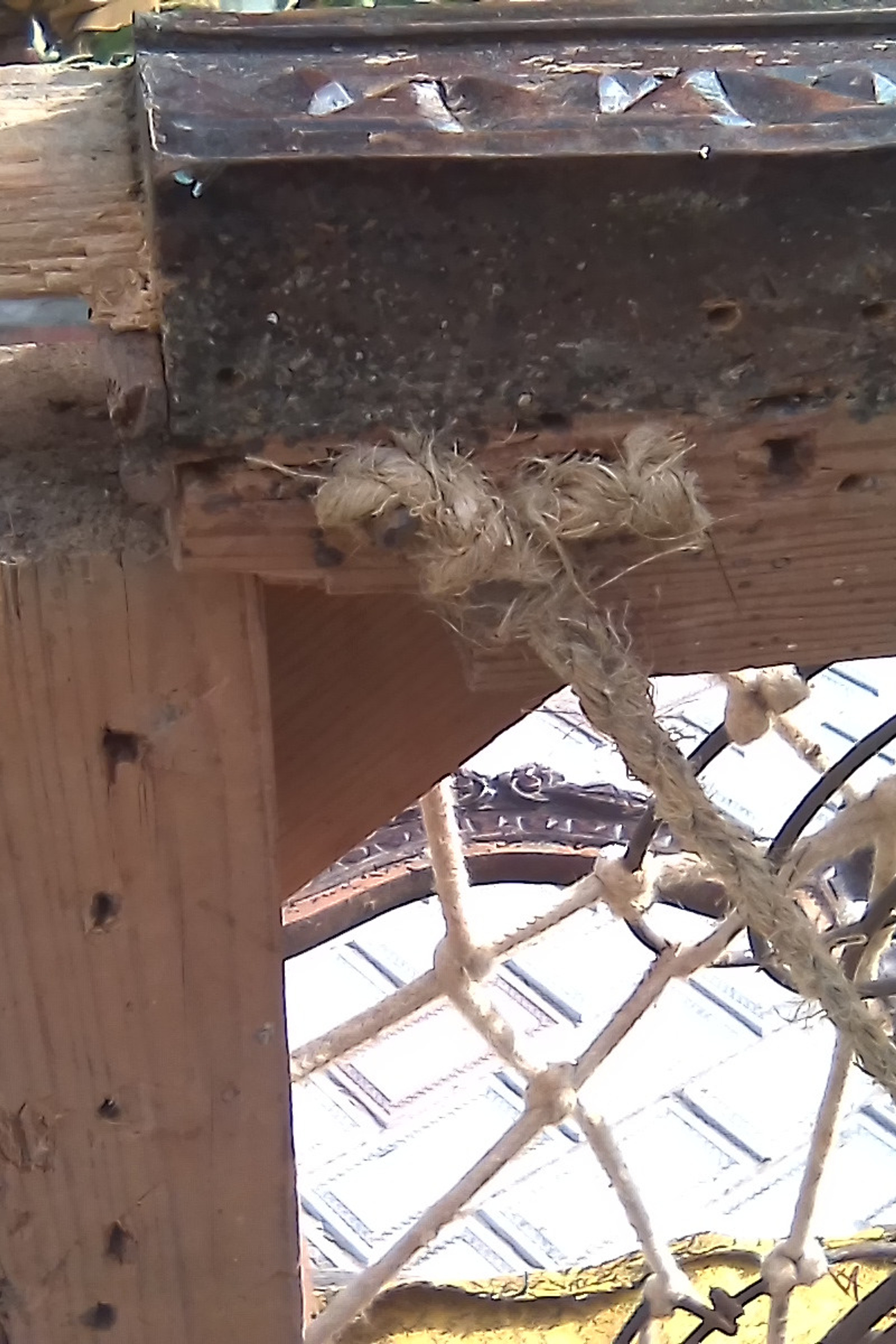 Фотосессия в люпинах. Фотограф в Туле Крупский АнДРей. Фотостудия «КАДР71» в Туле