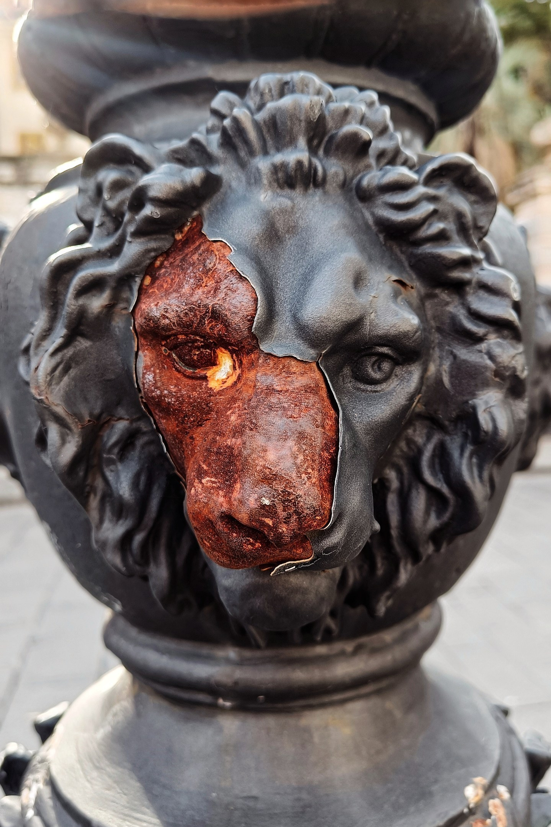 День урожая. Зеленоград. Профессиональный фотограф в Москве и МО Денис Кулешов