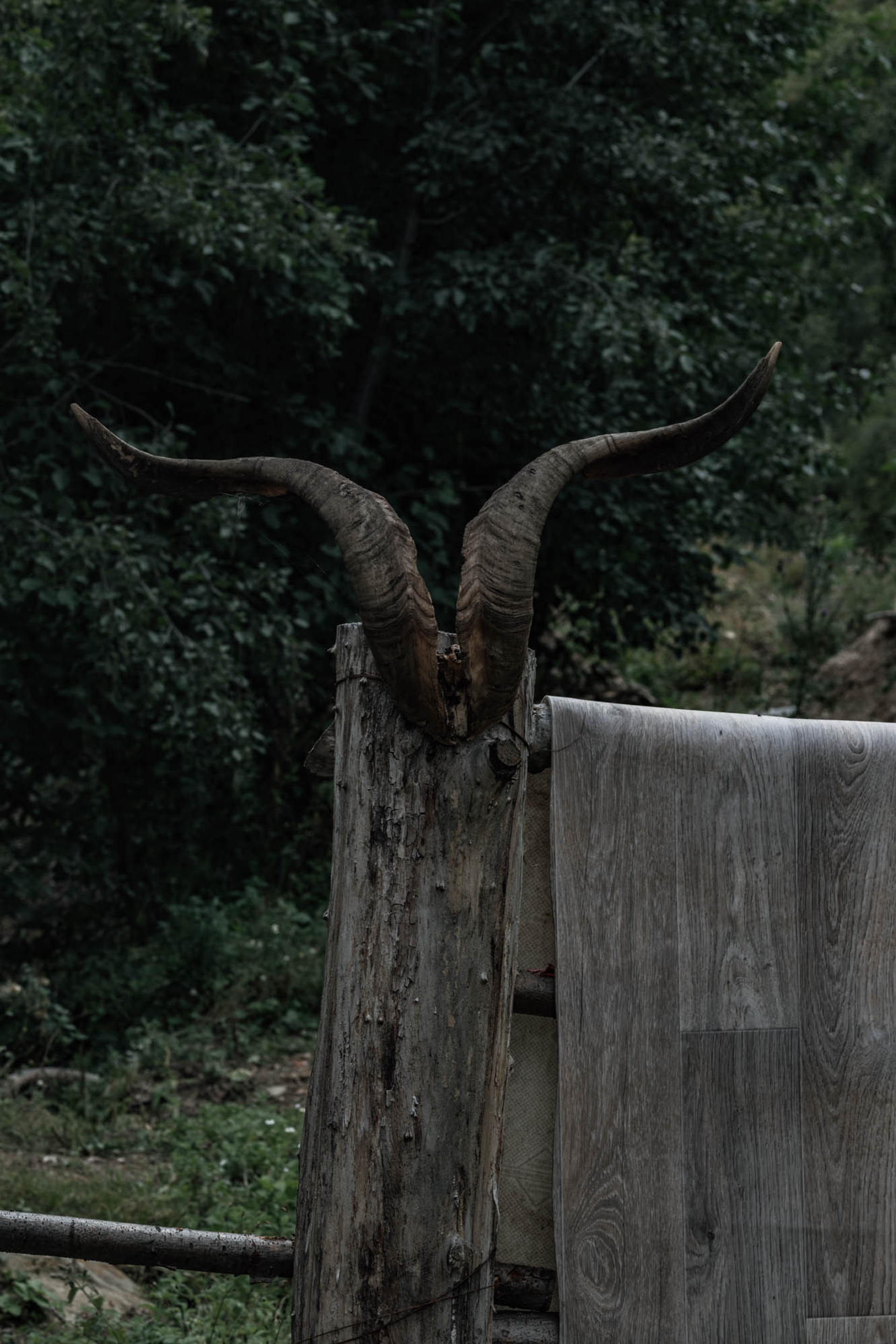 ТУРДАГ. Джип туры по Дагестану