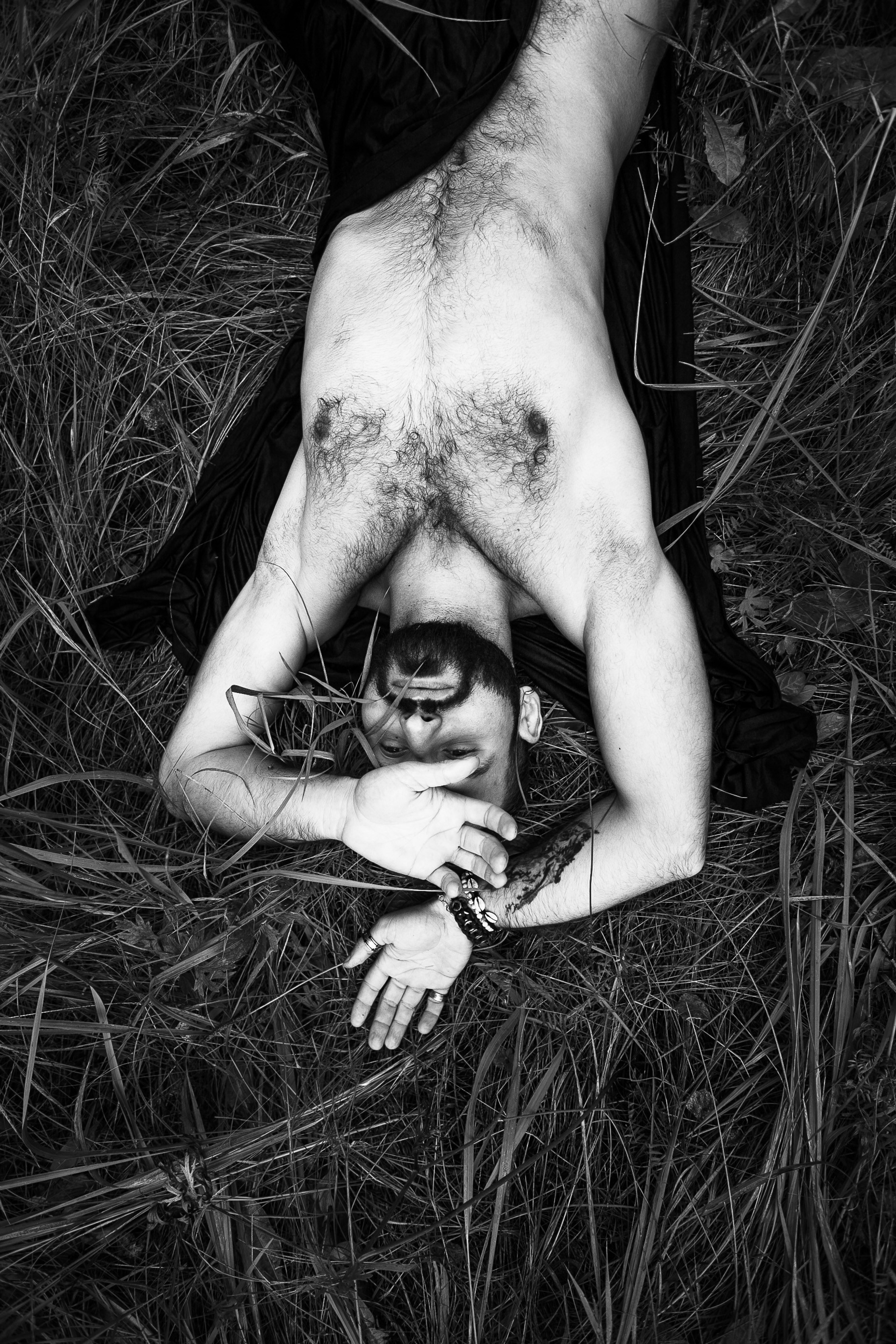 Лесной троль