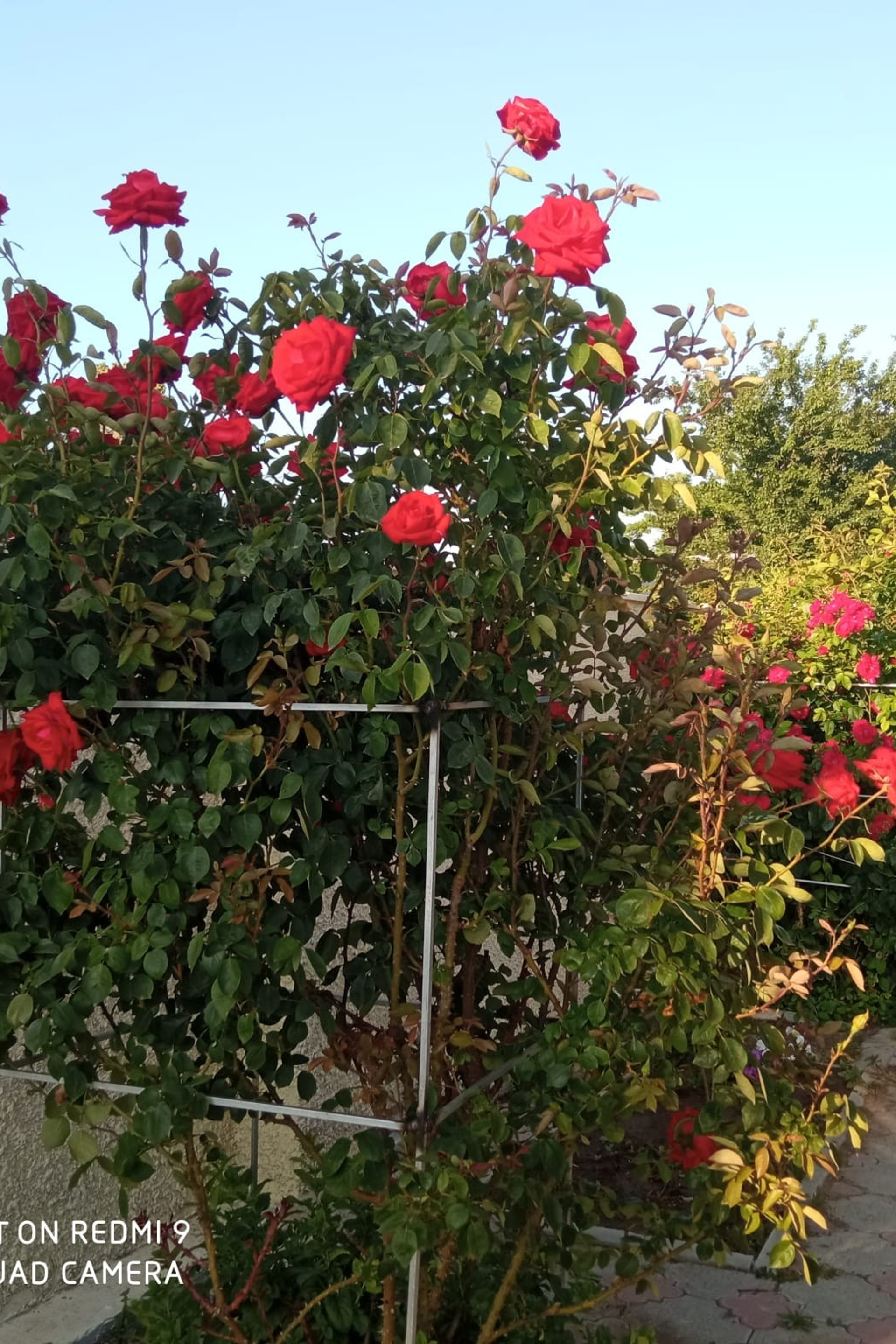 Истории. Гостевой дом «Райский уголок»