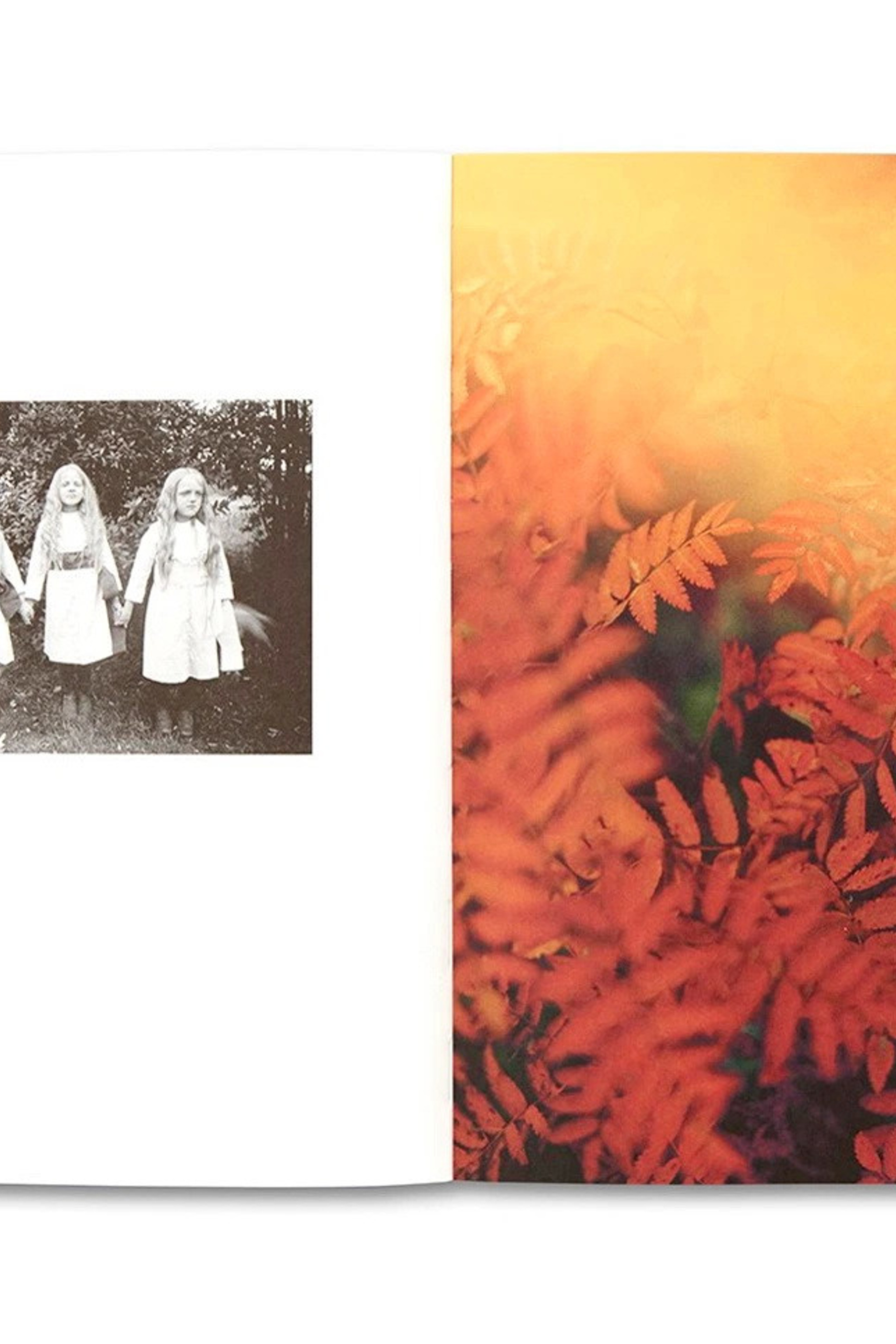 Фотографии Дэниела Рампулла (Daniel Rampulla). Private image