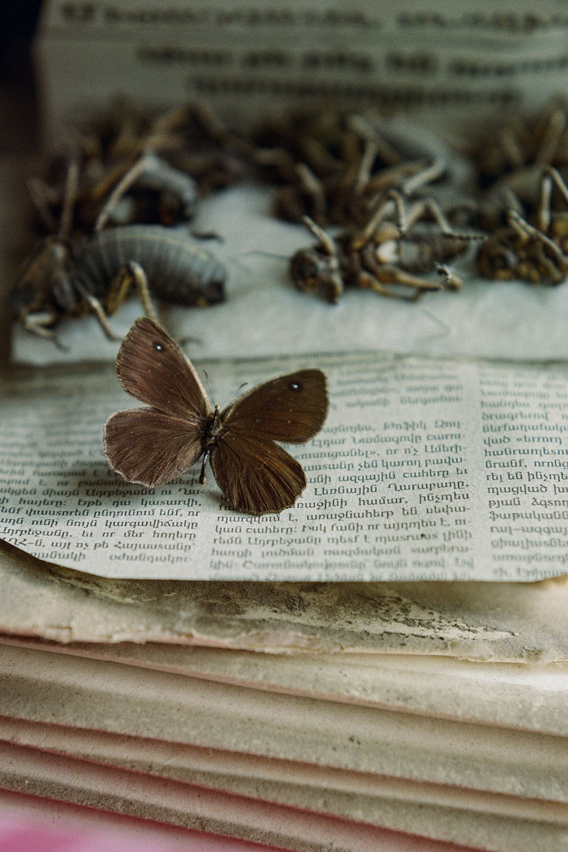 Блог. Private image