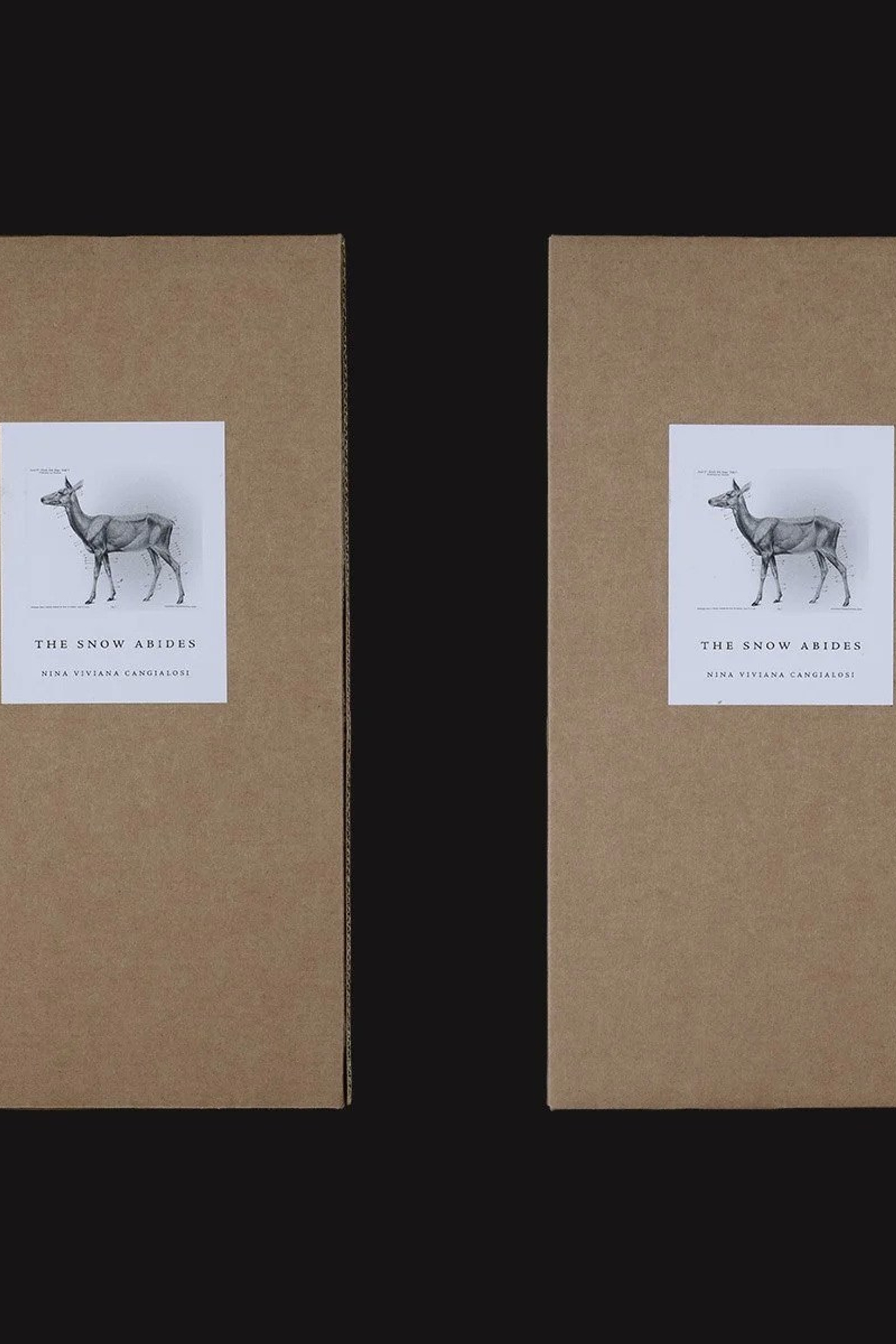 Фотографии Дэниела Рампулла (Daniel Rampulla). Private image