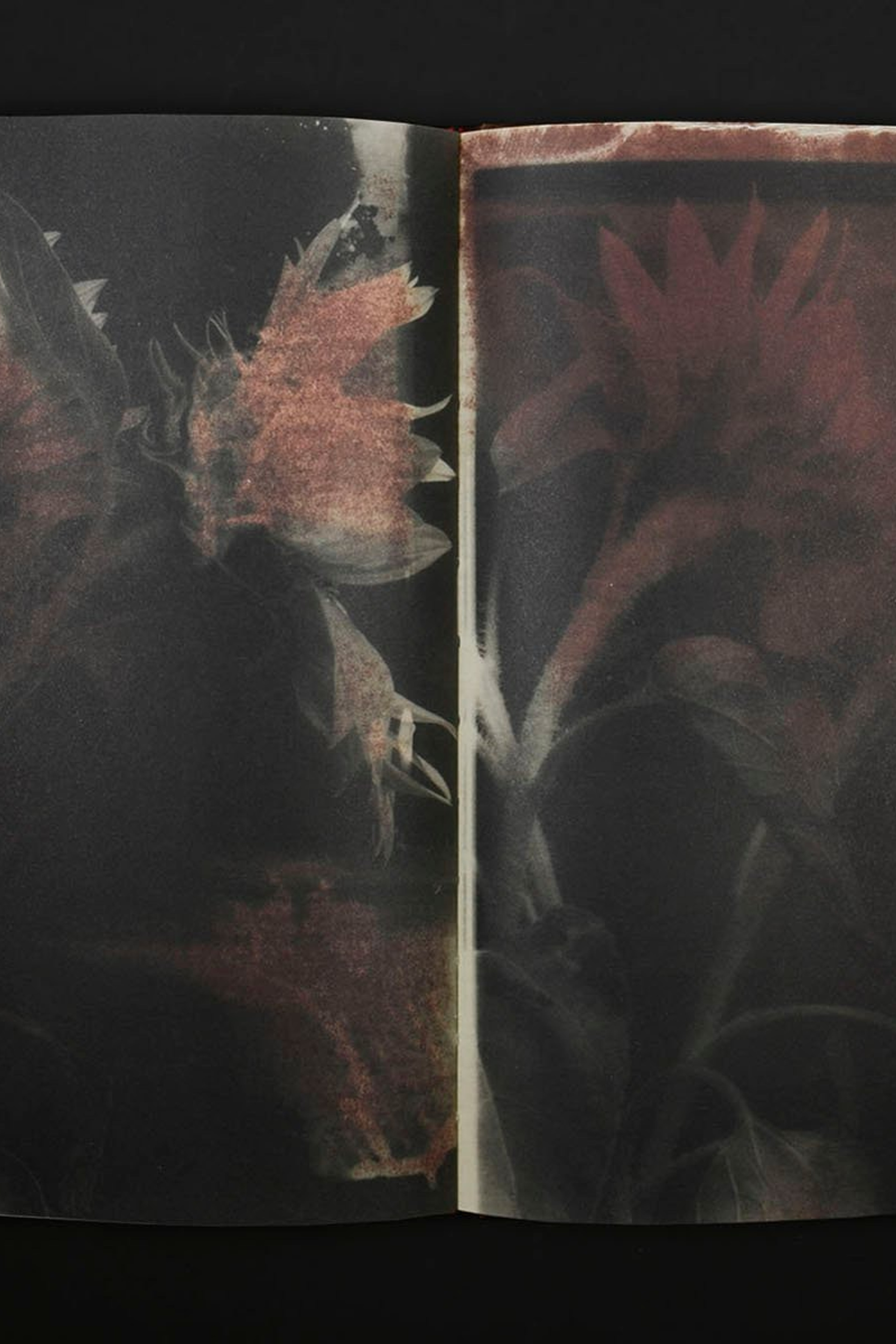 Блог. Private image